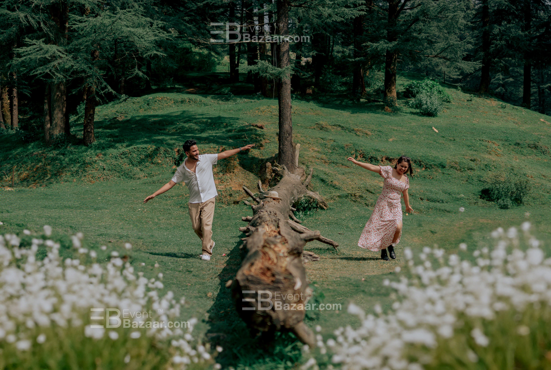 Highlights photo 5