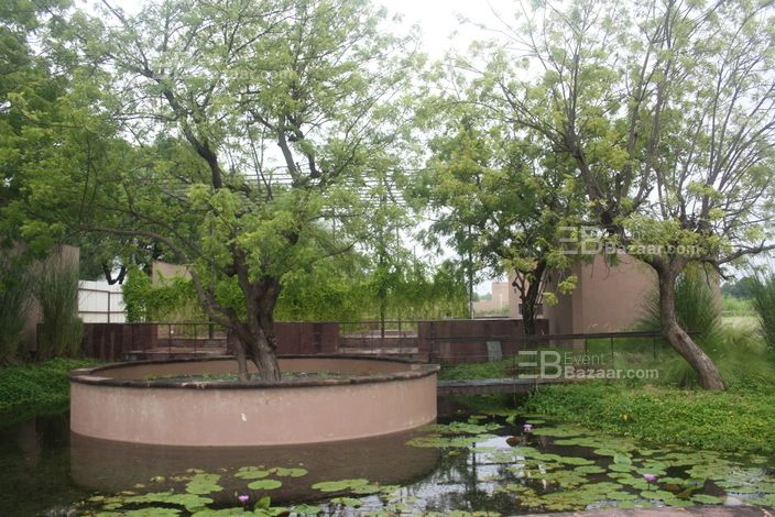 Our Projects photo 9