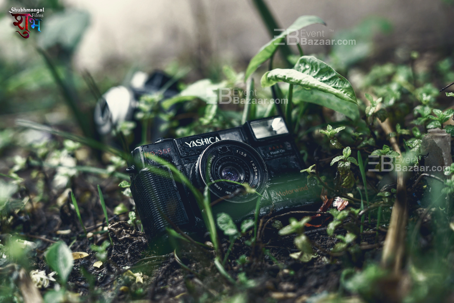 Best Shots photo 3