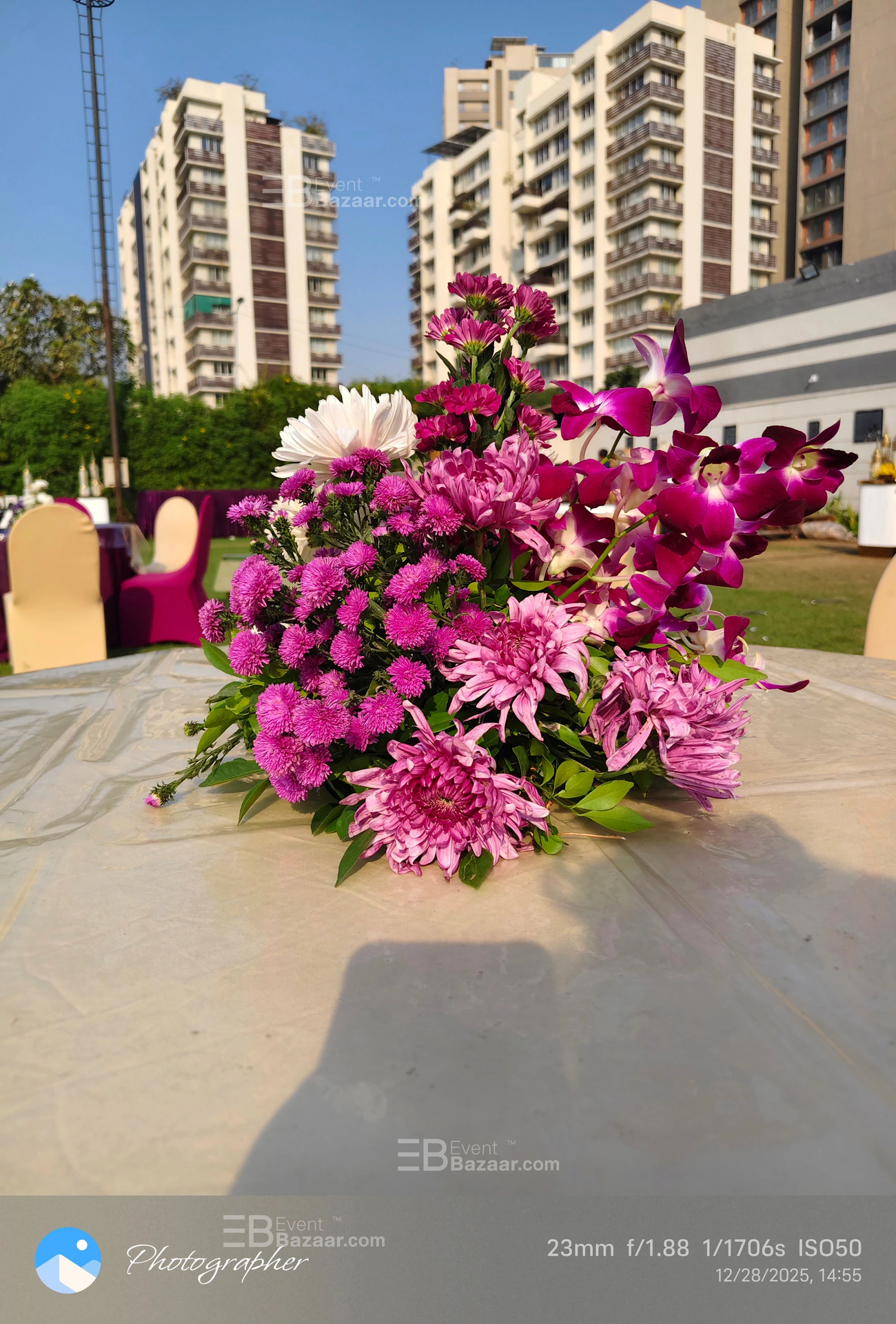 Highlights photo 11