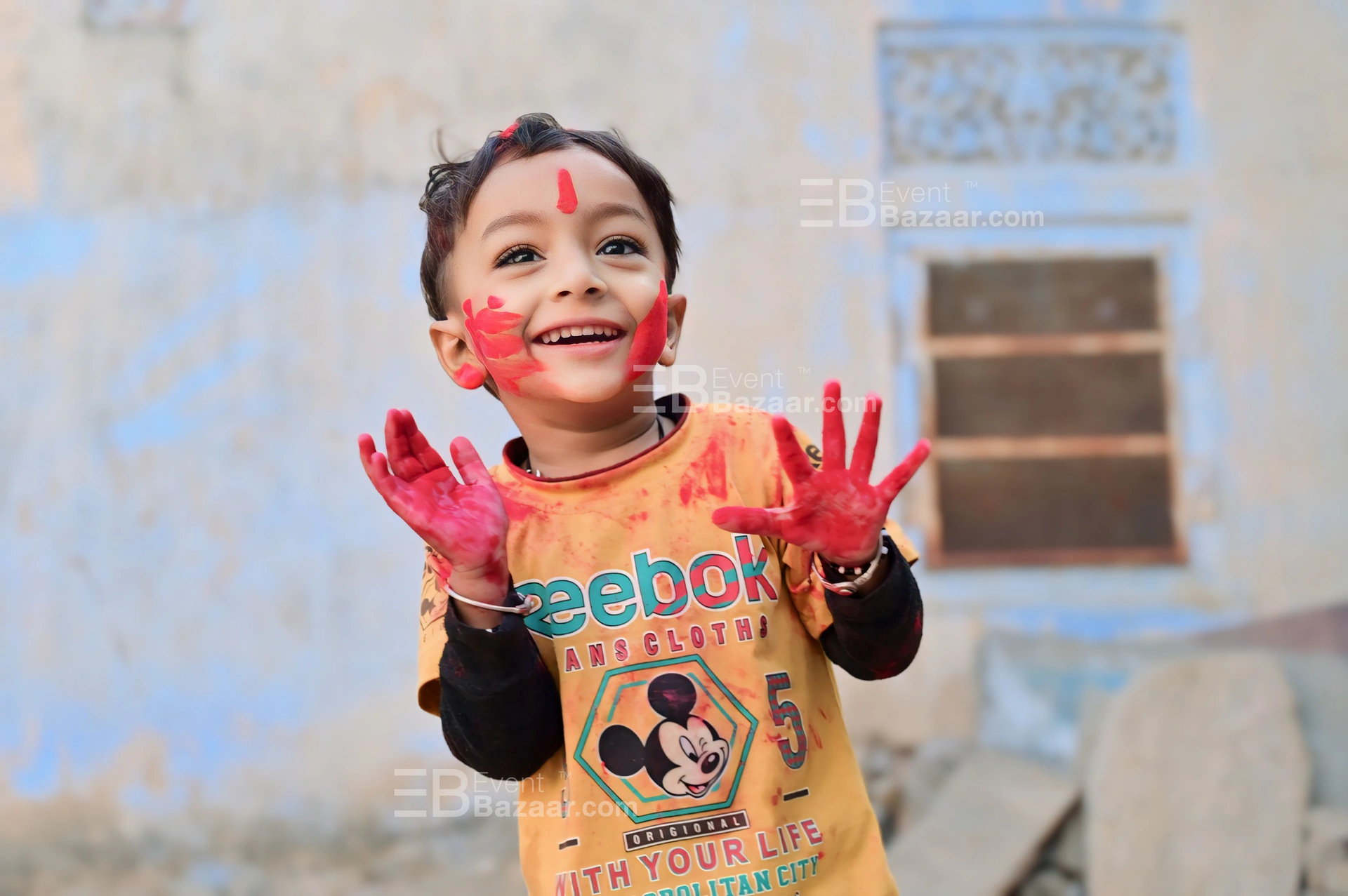 Our Portfolio photo 3