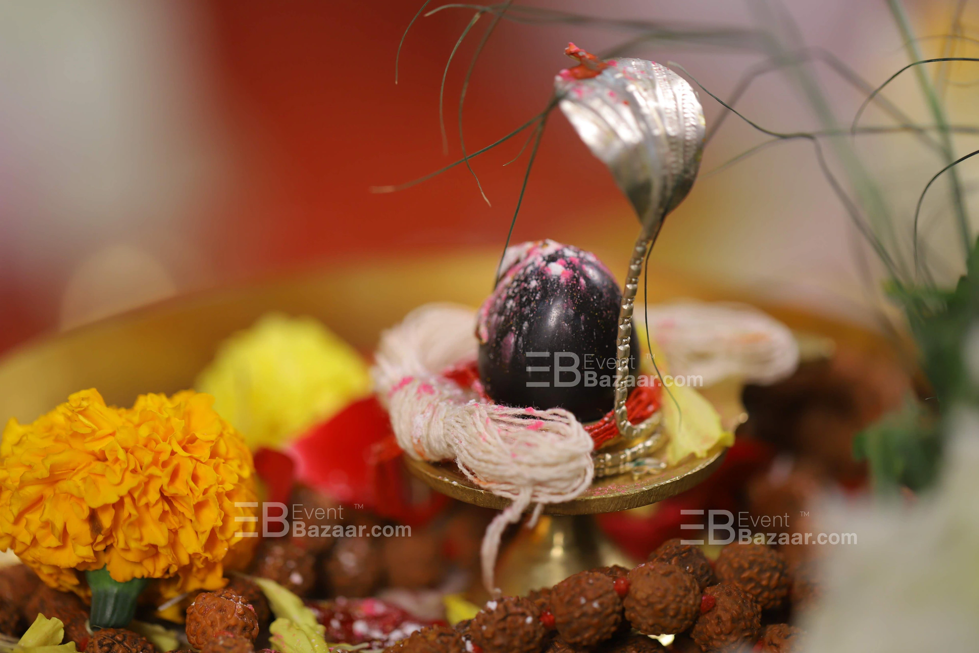 Our Events photo 10
