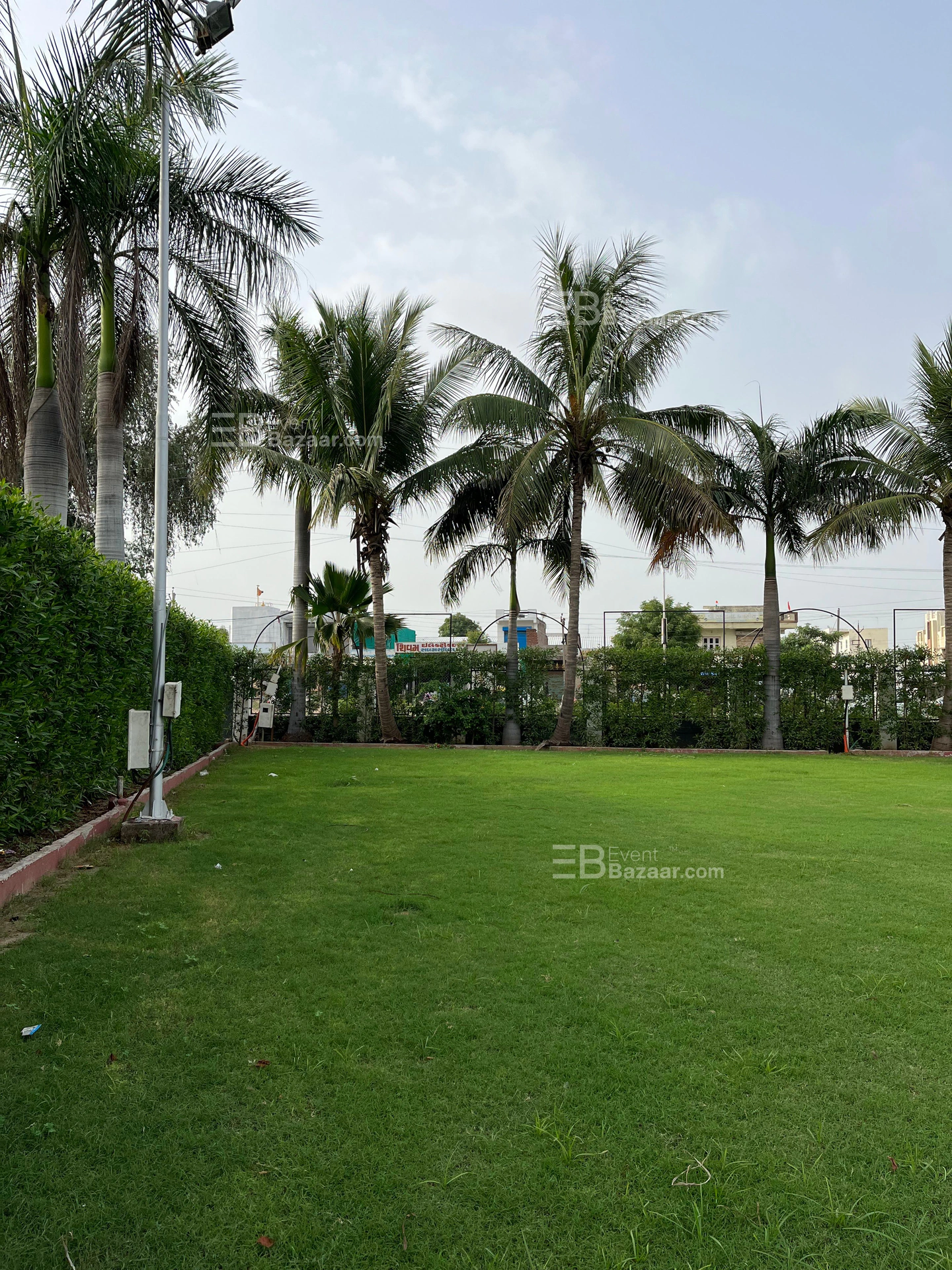 The Album photo 14