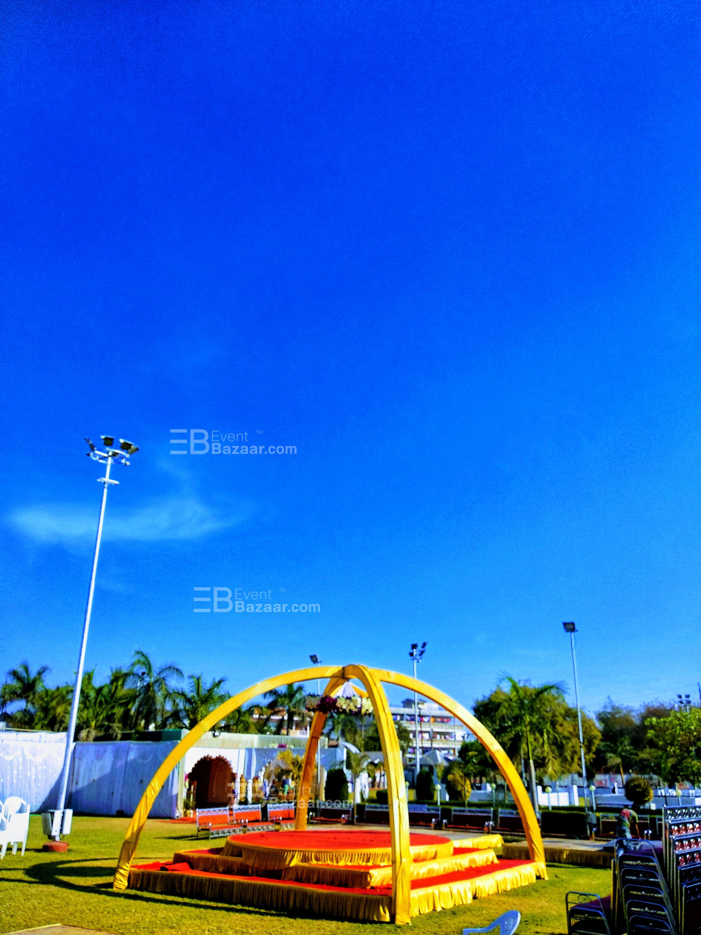 The Album photo 15