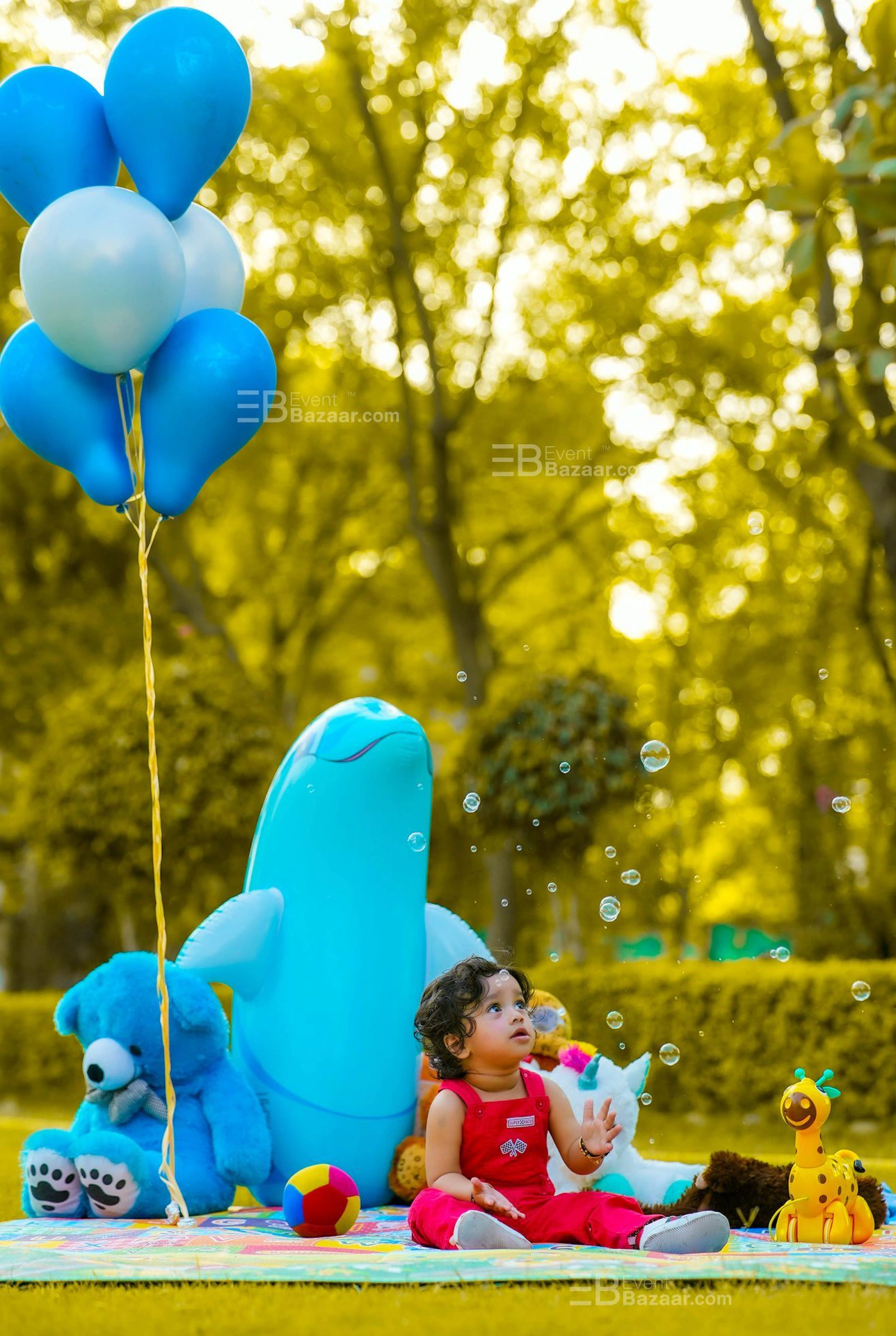 Our Portfolio photo 2