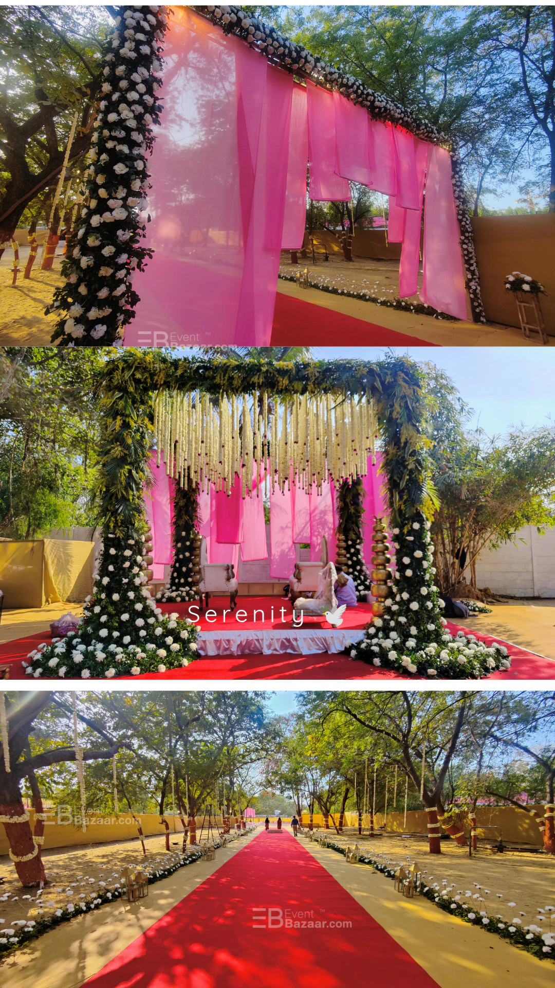 Our Story photo 8