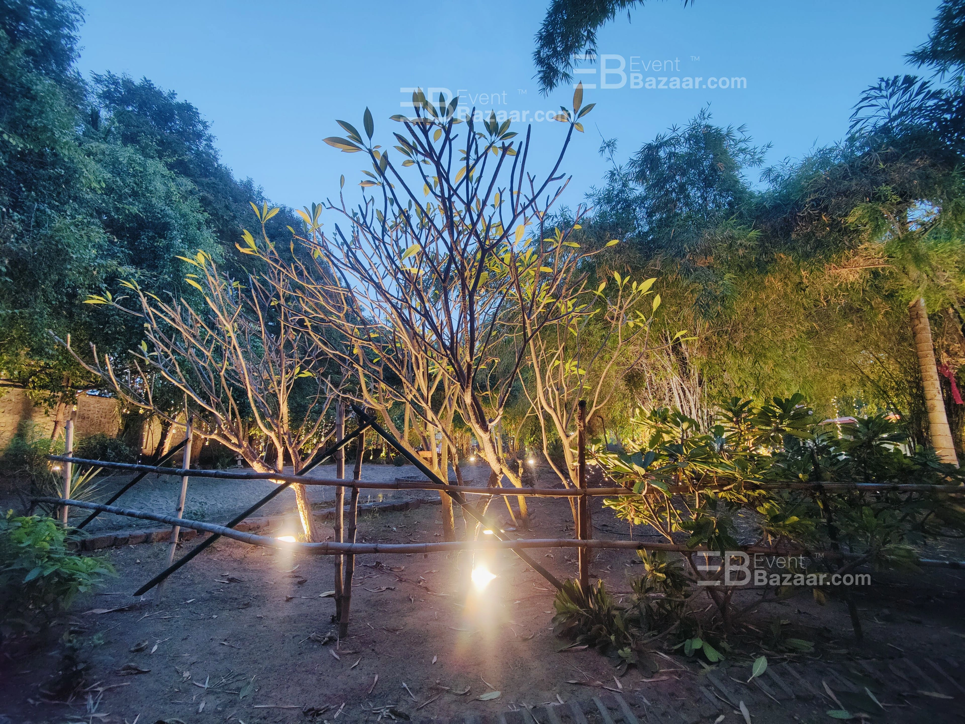 Our Story photo 11