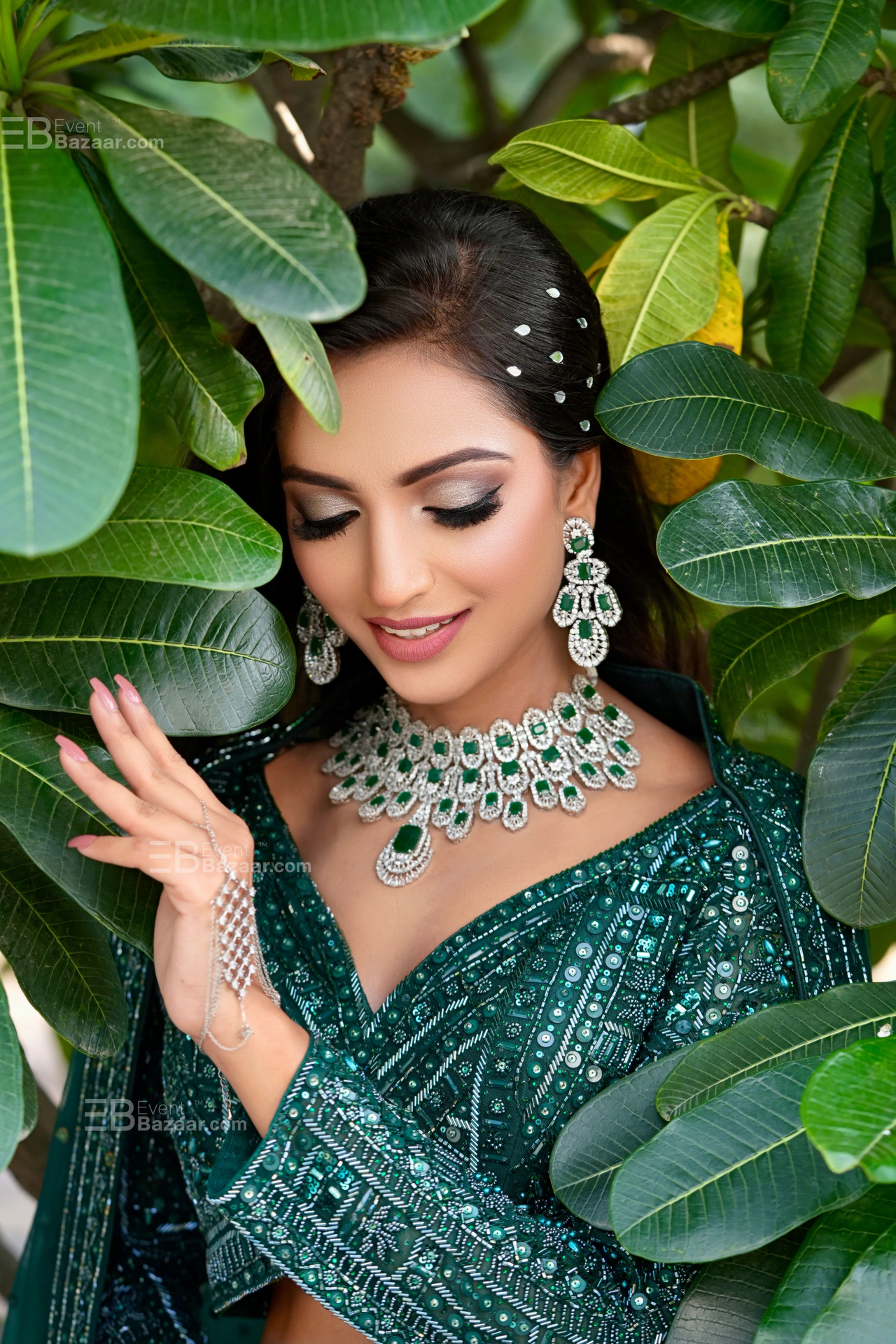 The Album photo 20