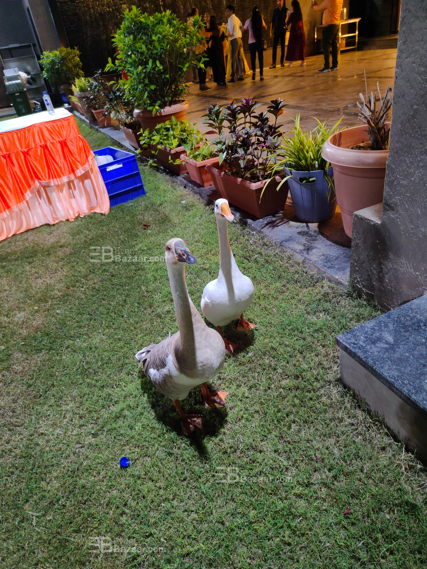 Photo Gallery photo 6