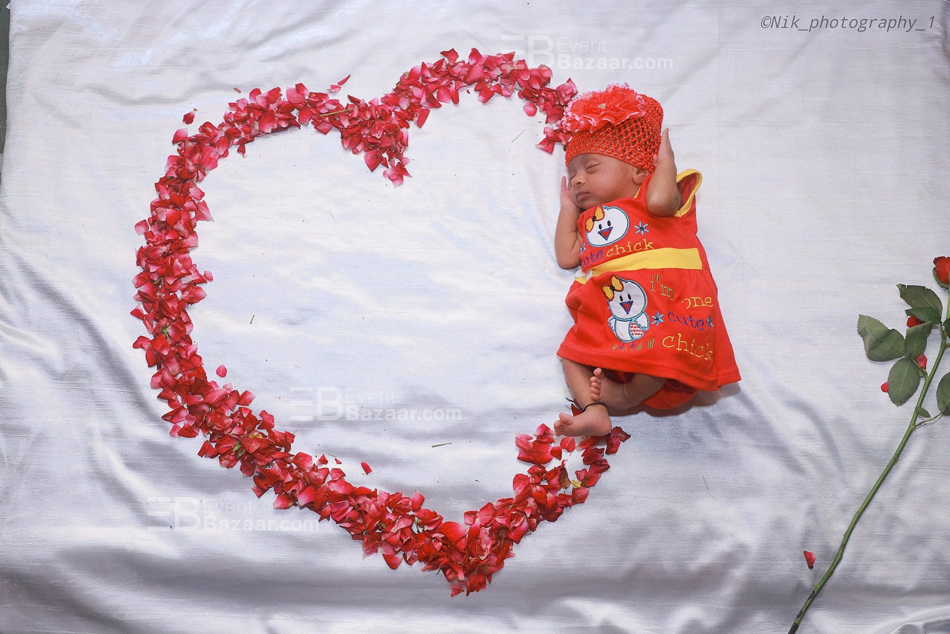 Portfolio photo 8