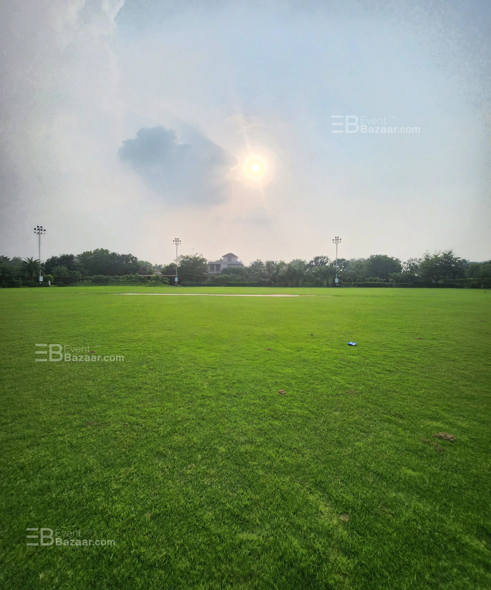 The Album photo 1