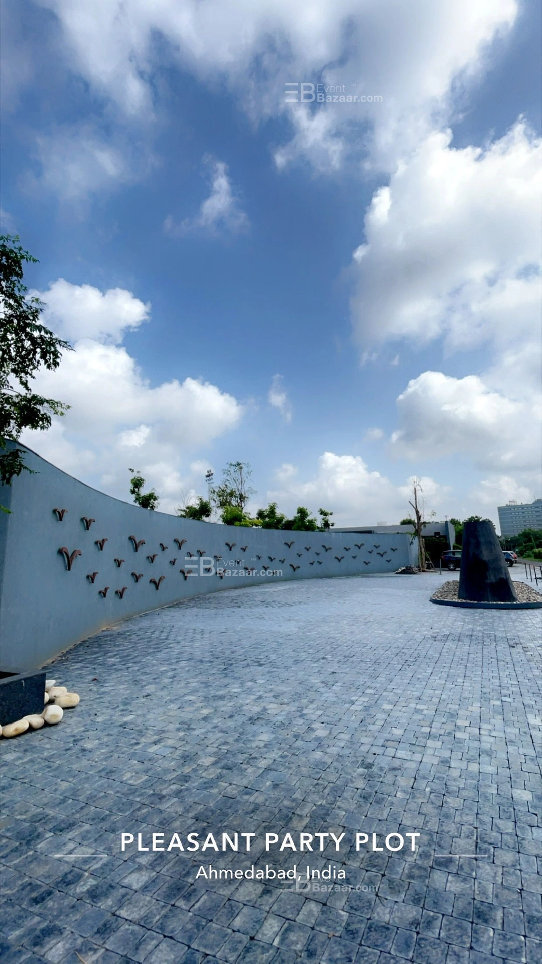 The Album photo 8
