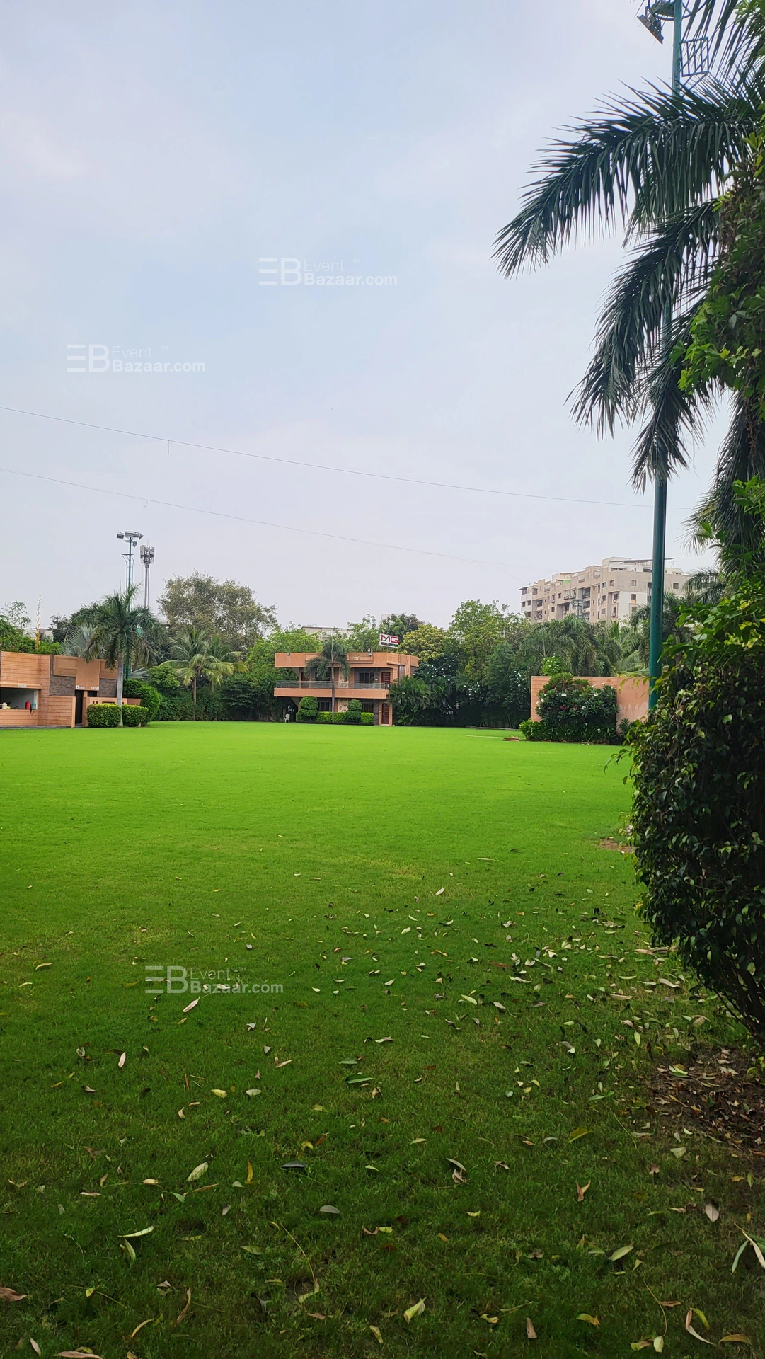 The Album photo 5