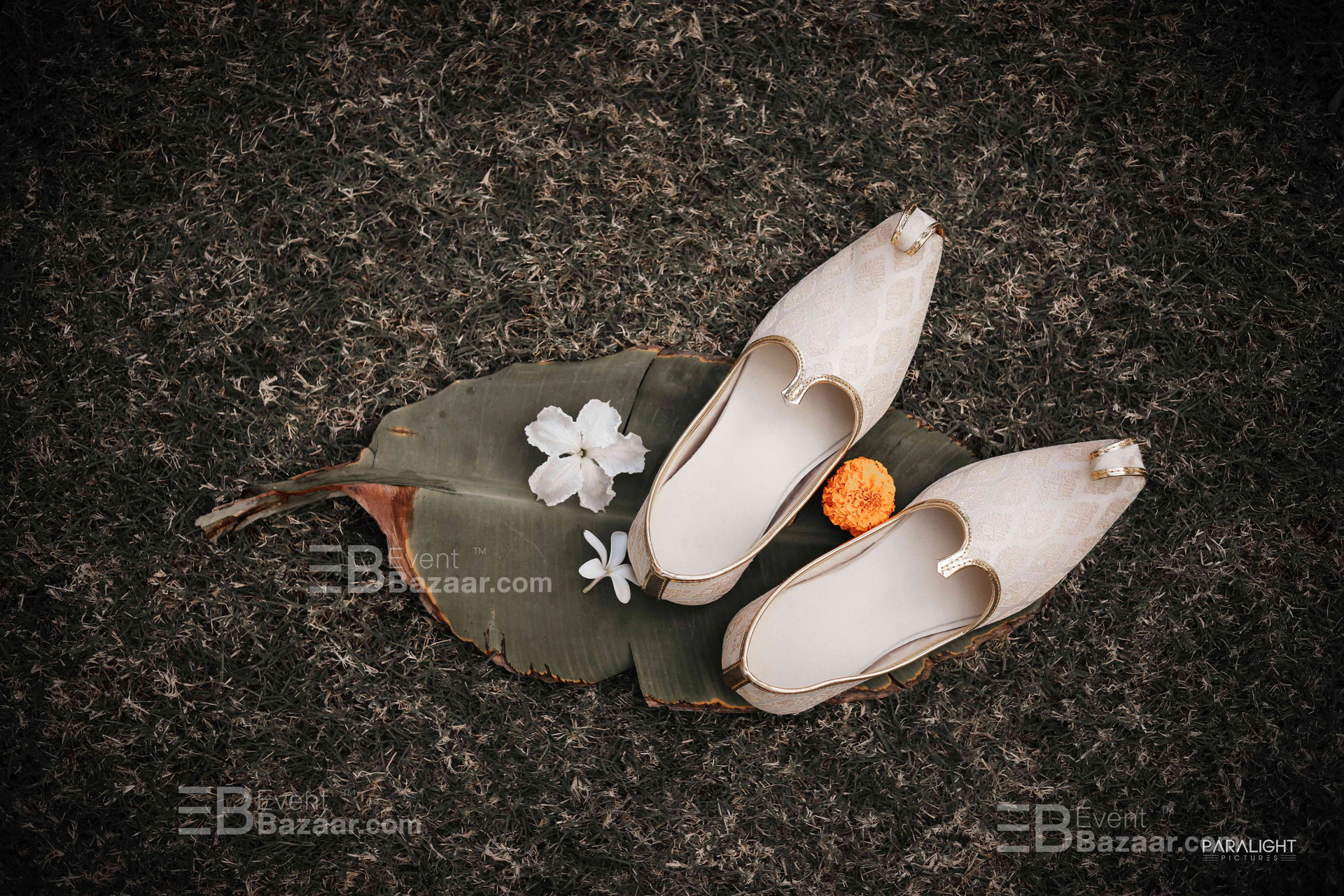 Our Moments photo 3