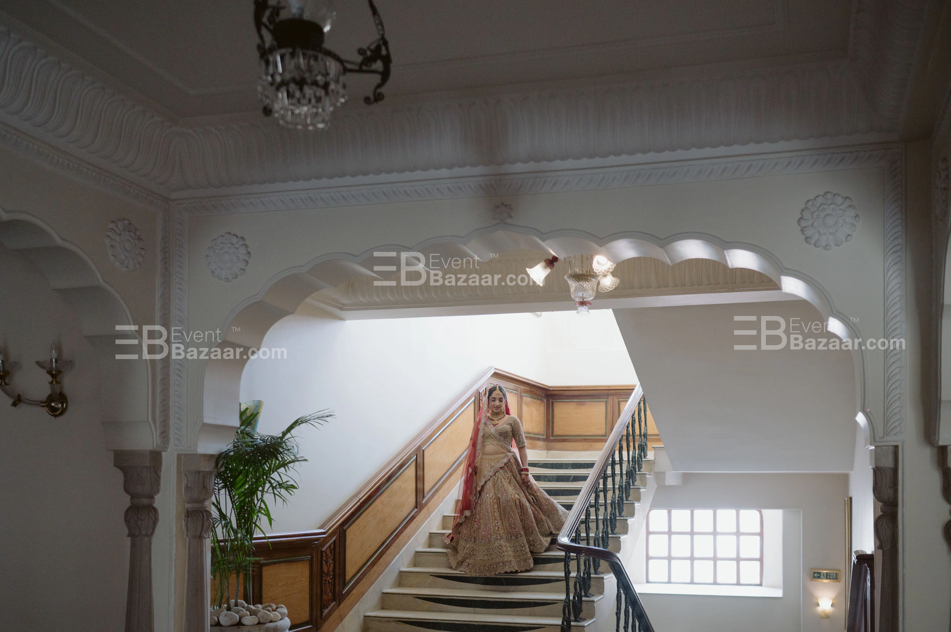 Work Gallery photo 17