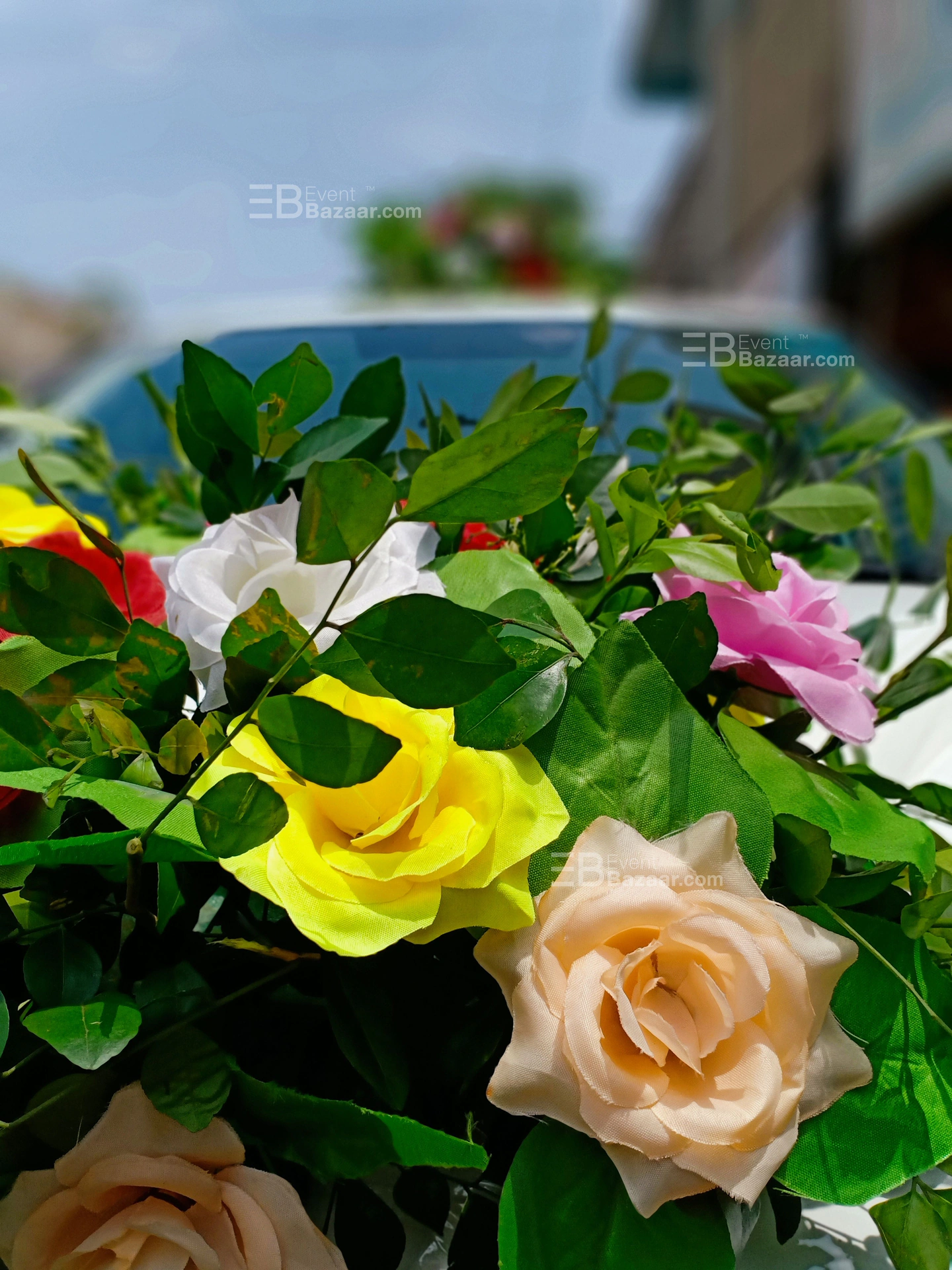 Our Moments photo 12