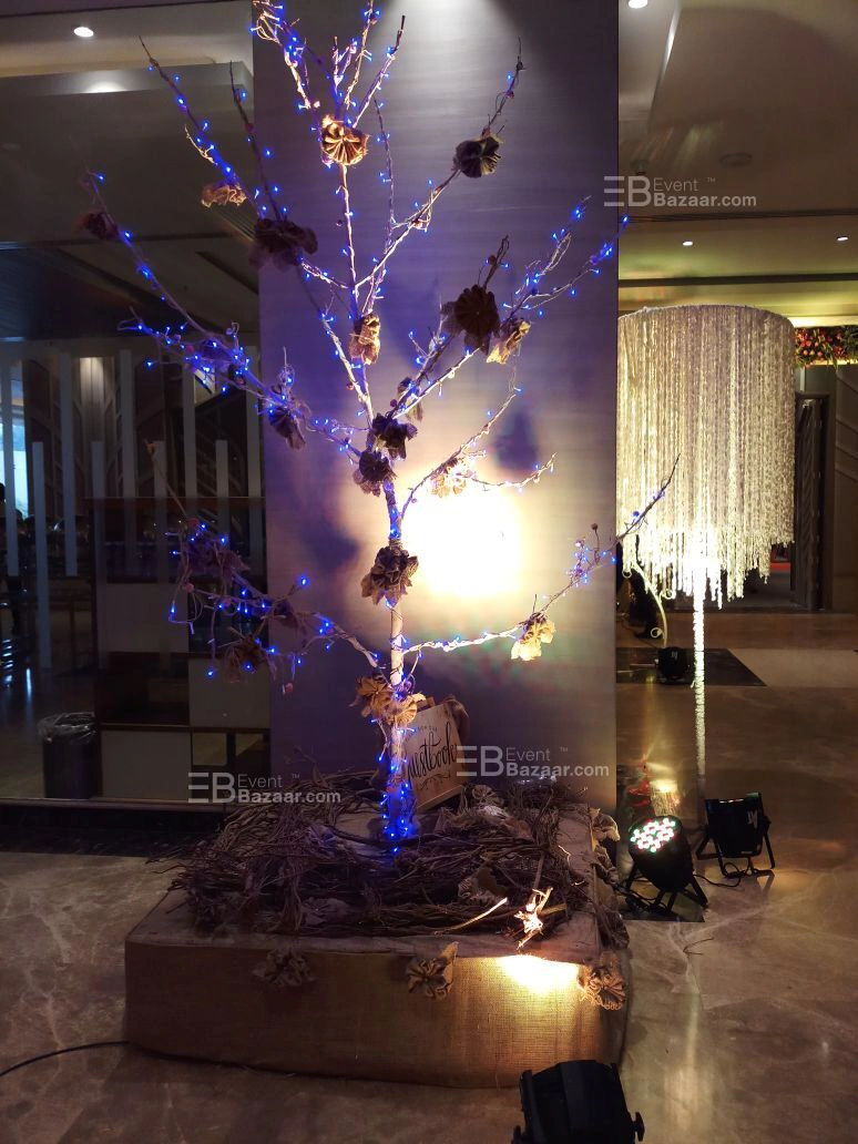 Photo Gallery photo 19