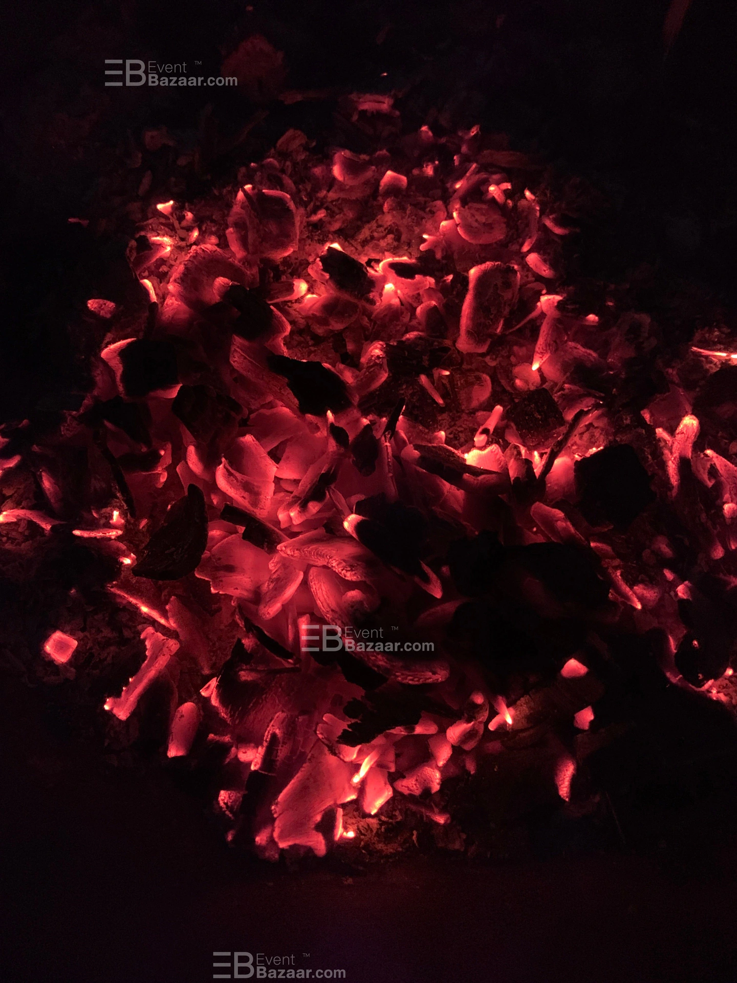 The Album photo 10