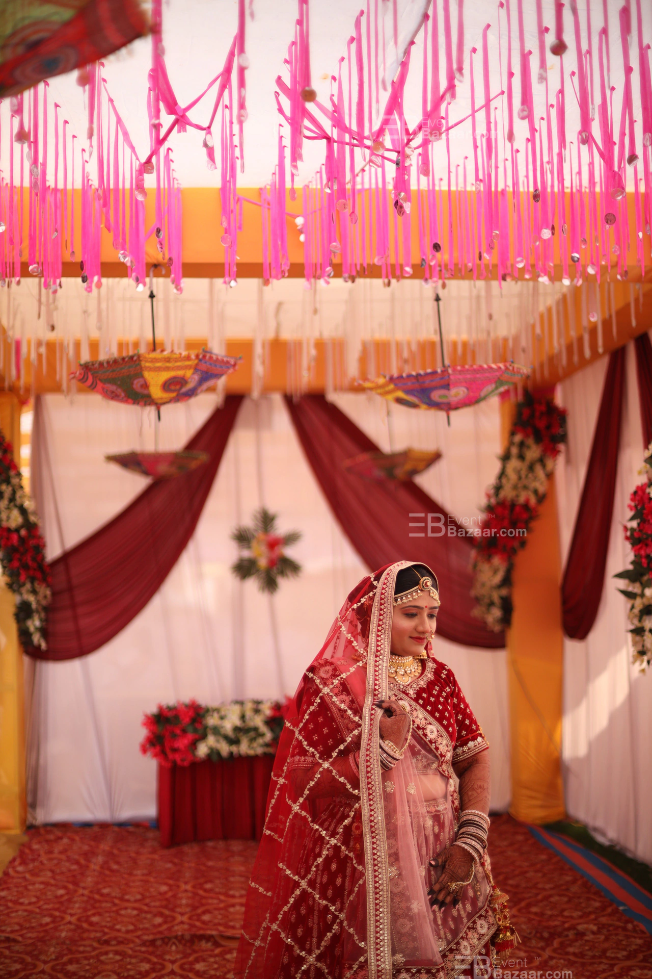 Captured Moments photo 2
