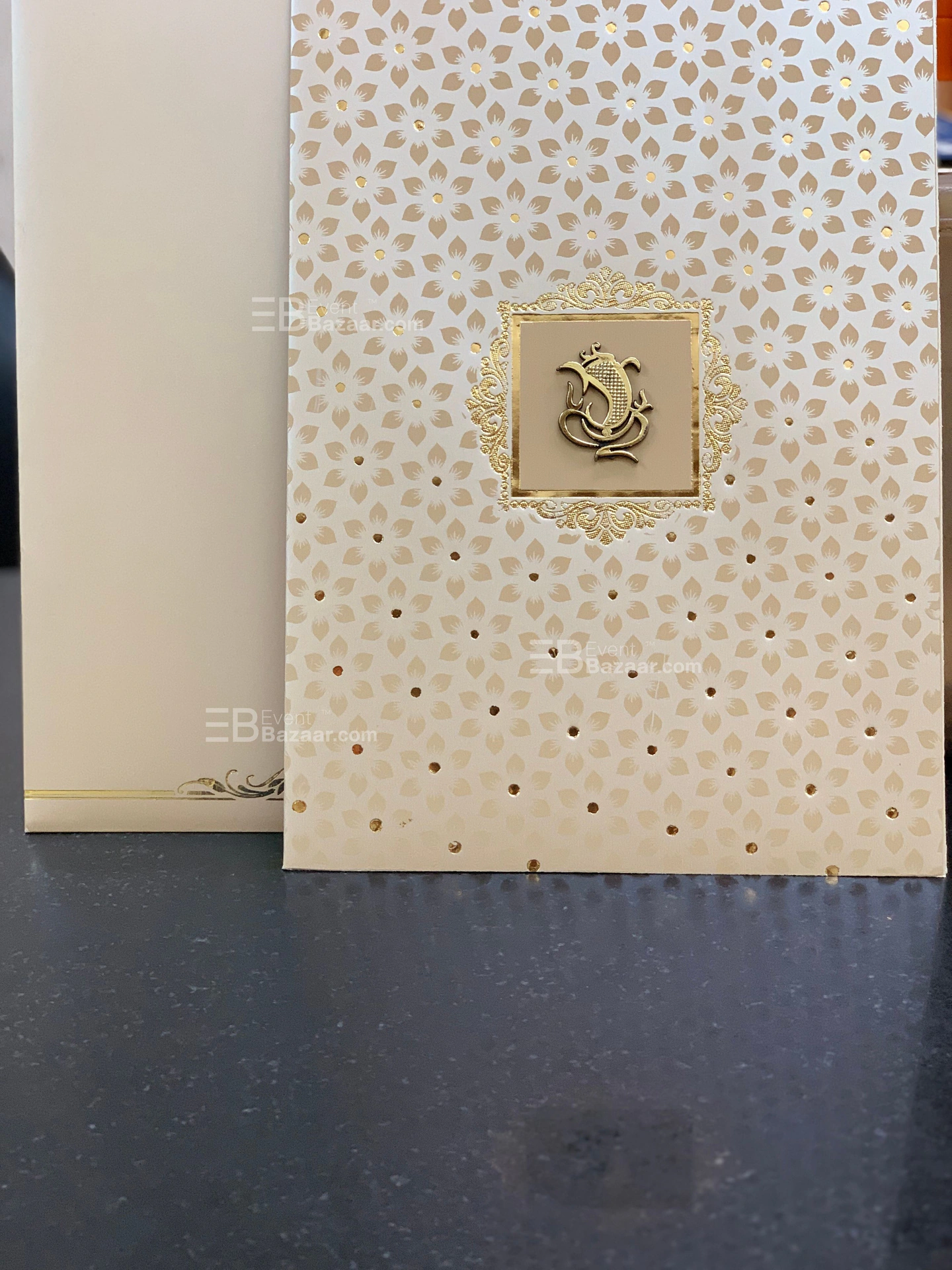 The Album photo 9
