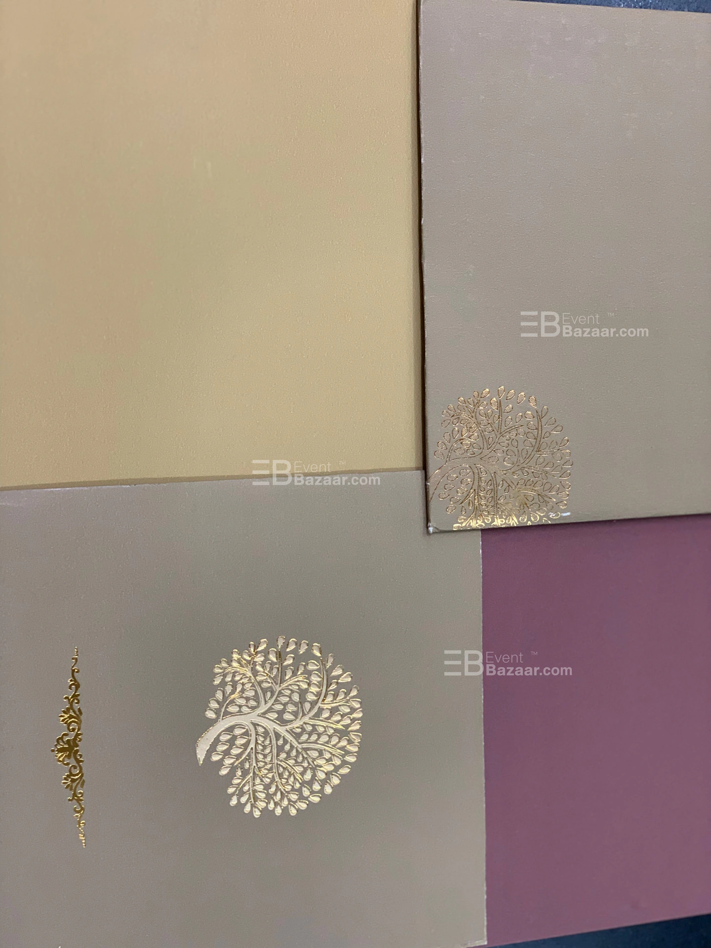 The Album photo 15
