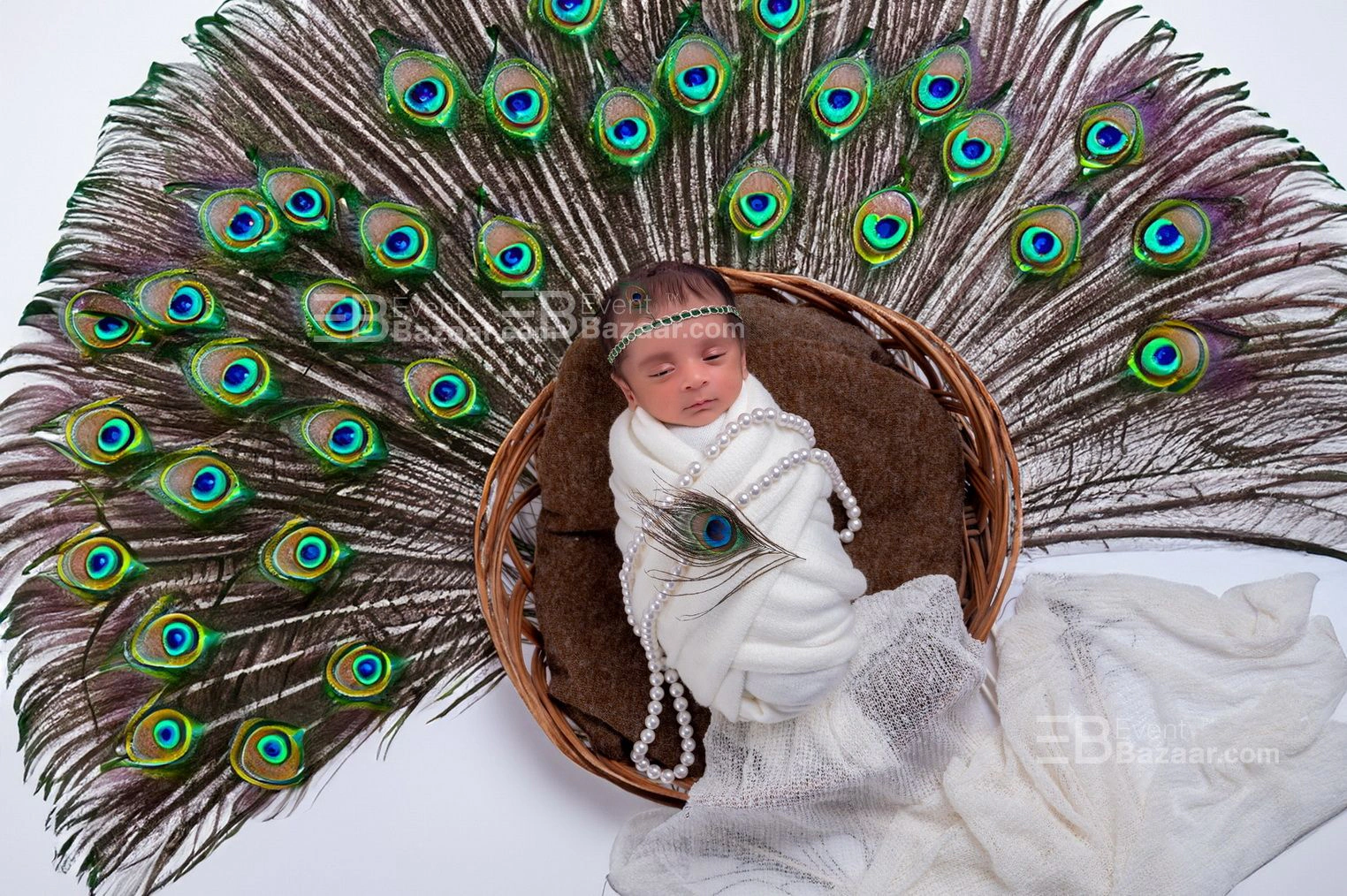 Portfolio photo 10