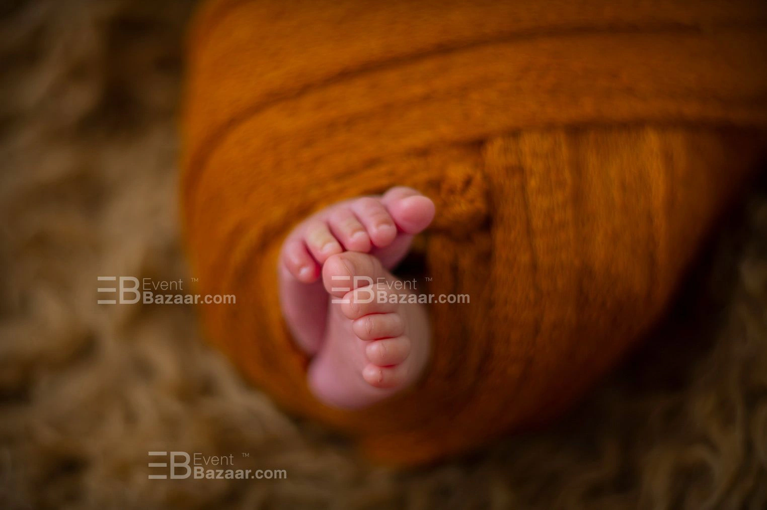 Portfolio photo 17