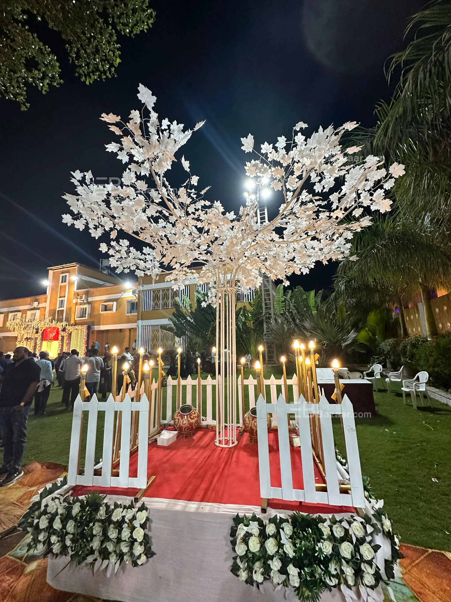 Our Events