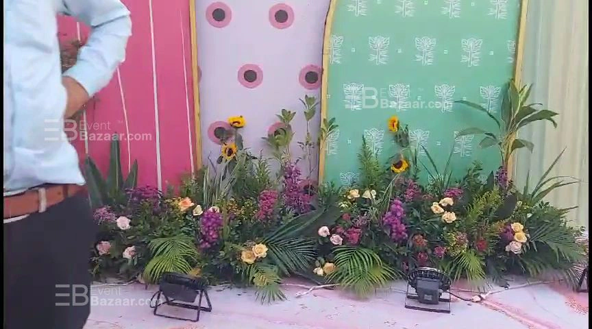 Highlights photo 19