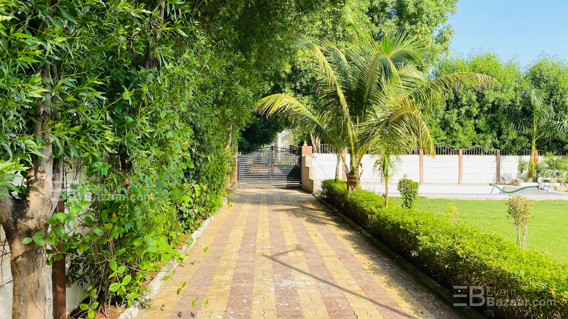 Photo Gallery photo 14