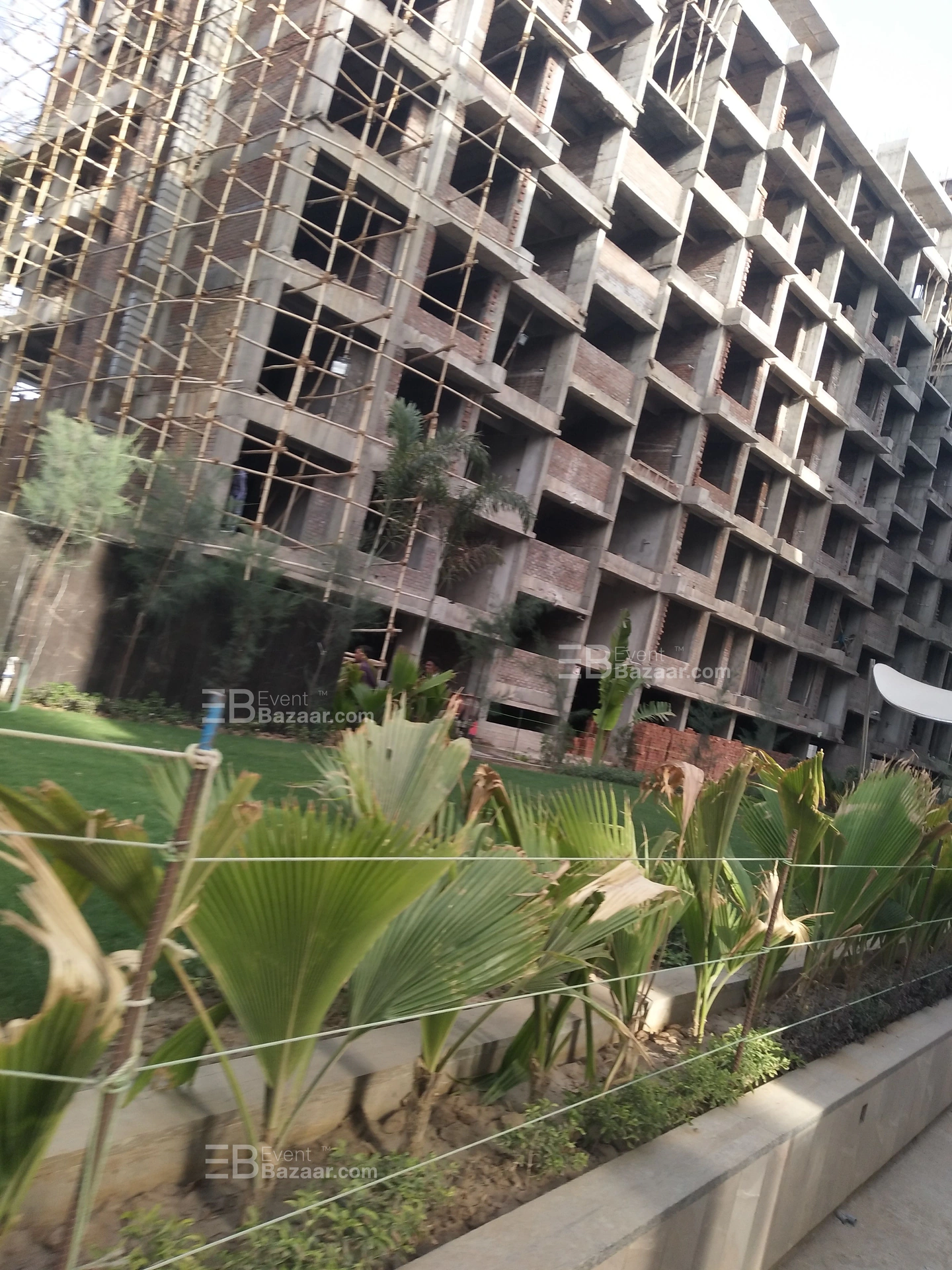 Captured Moments photo 9