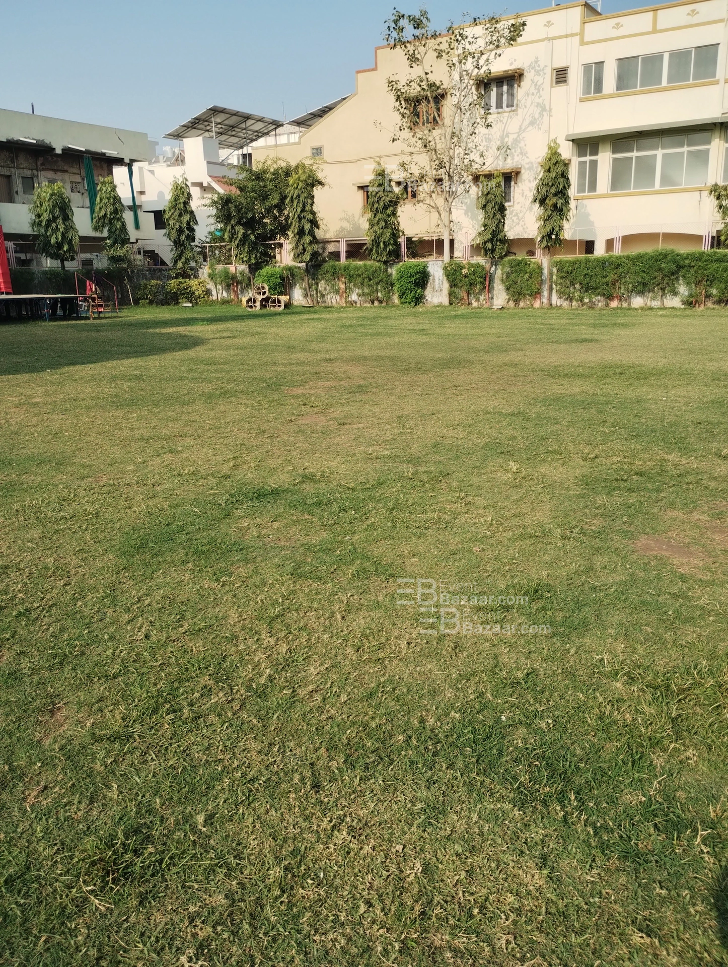 The Album photo 8