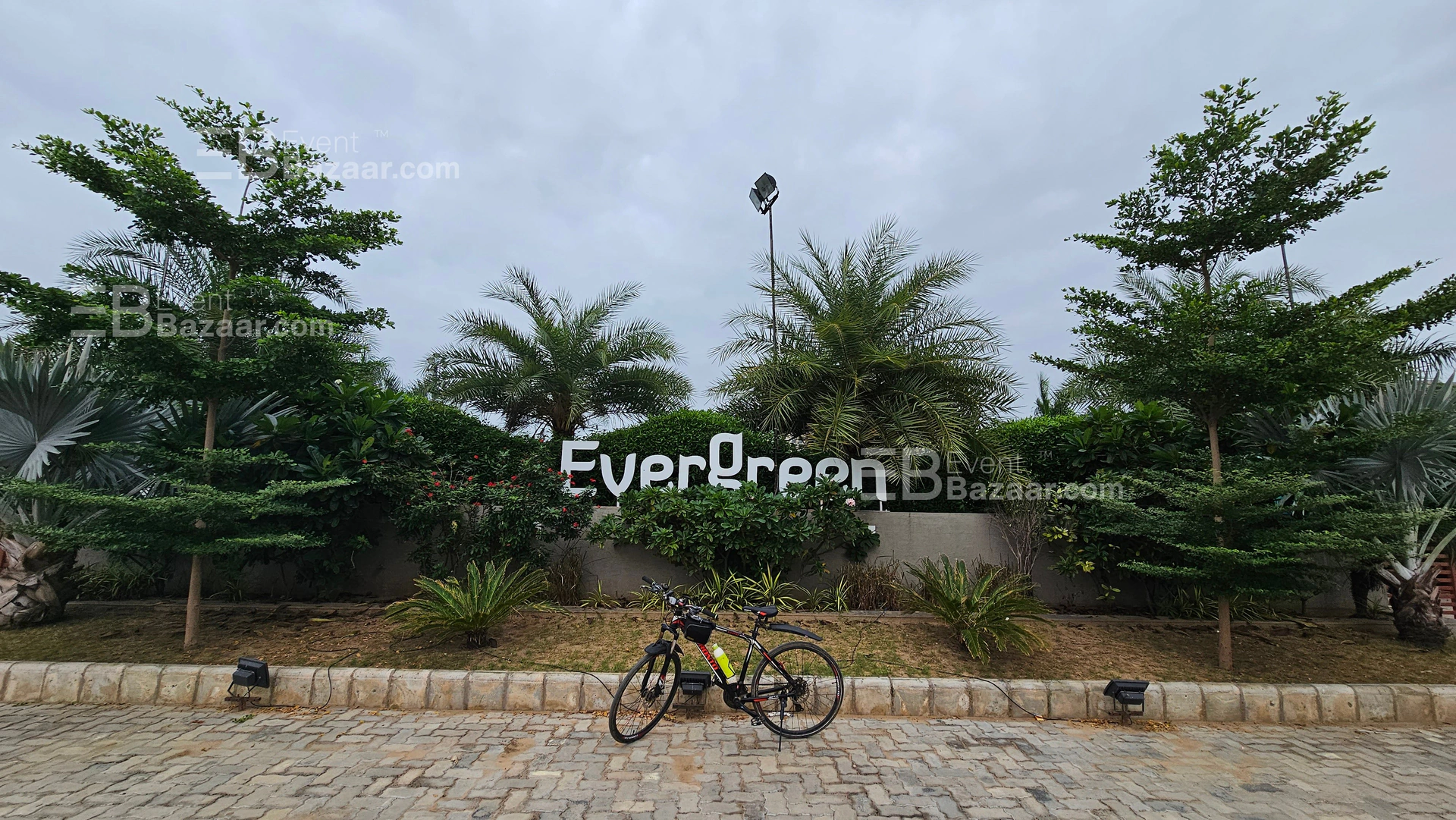 Our Moments photo 17