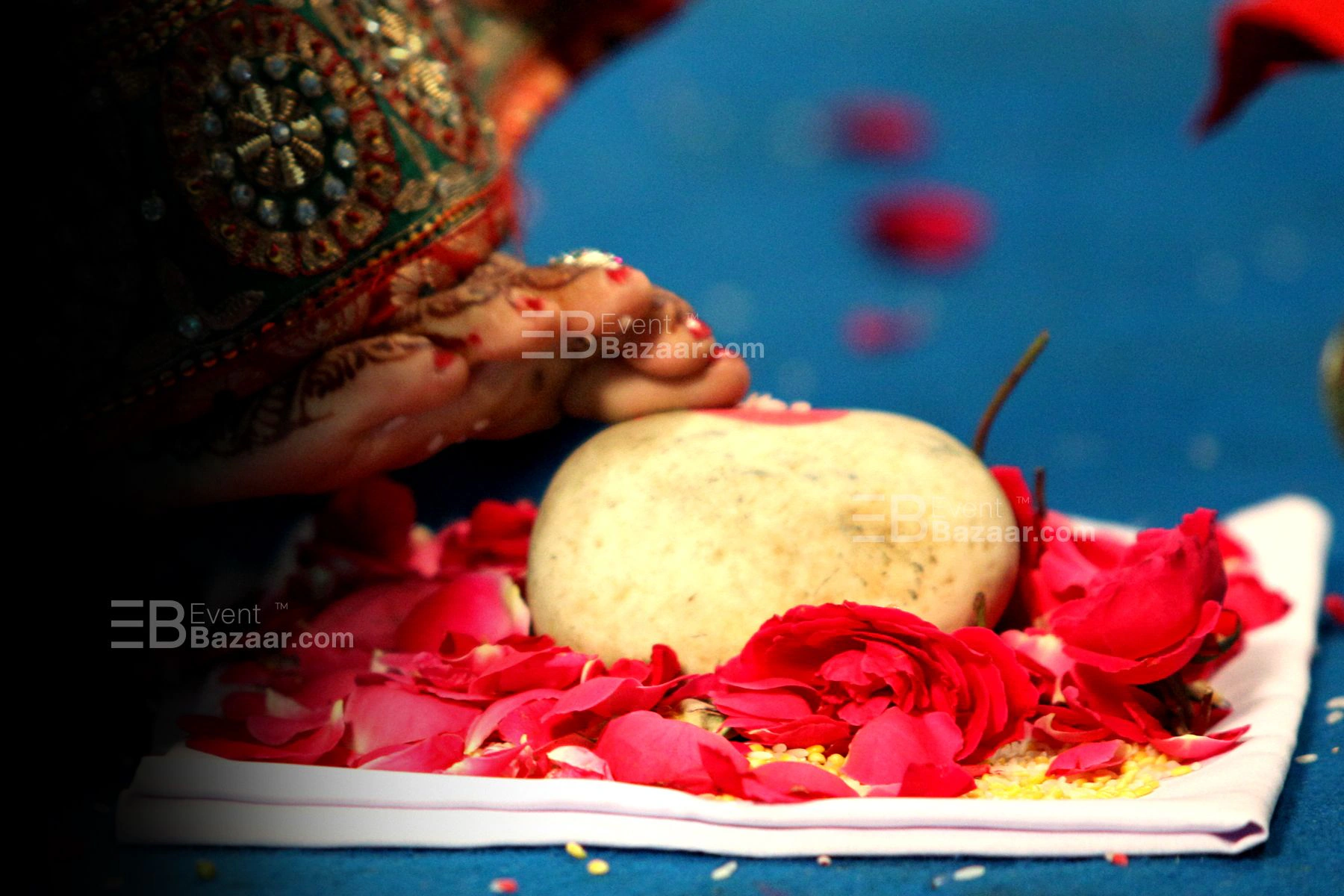 Our Events photo 2