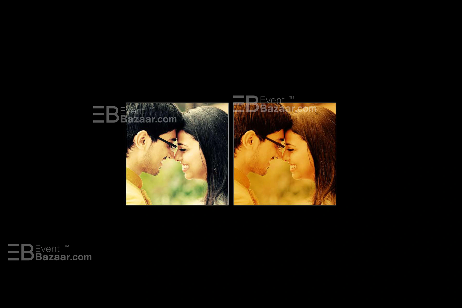Best Shots photo 6