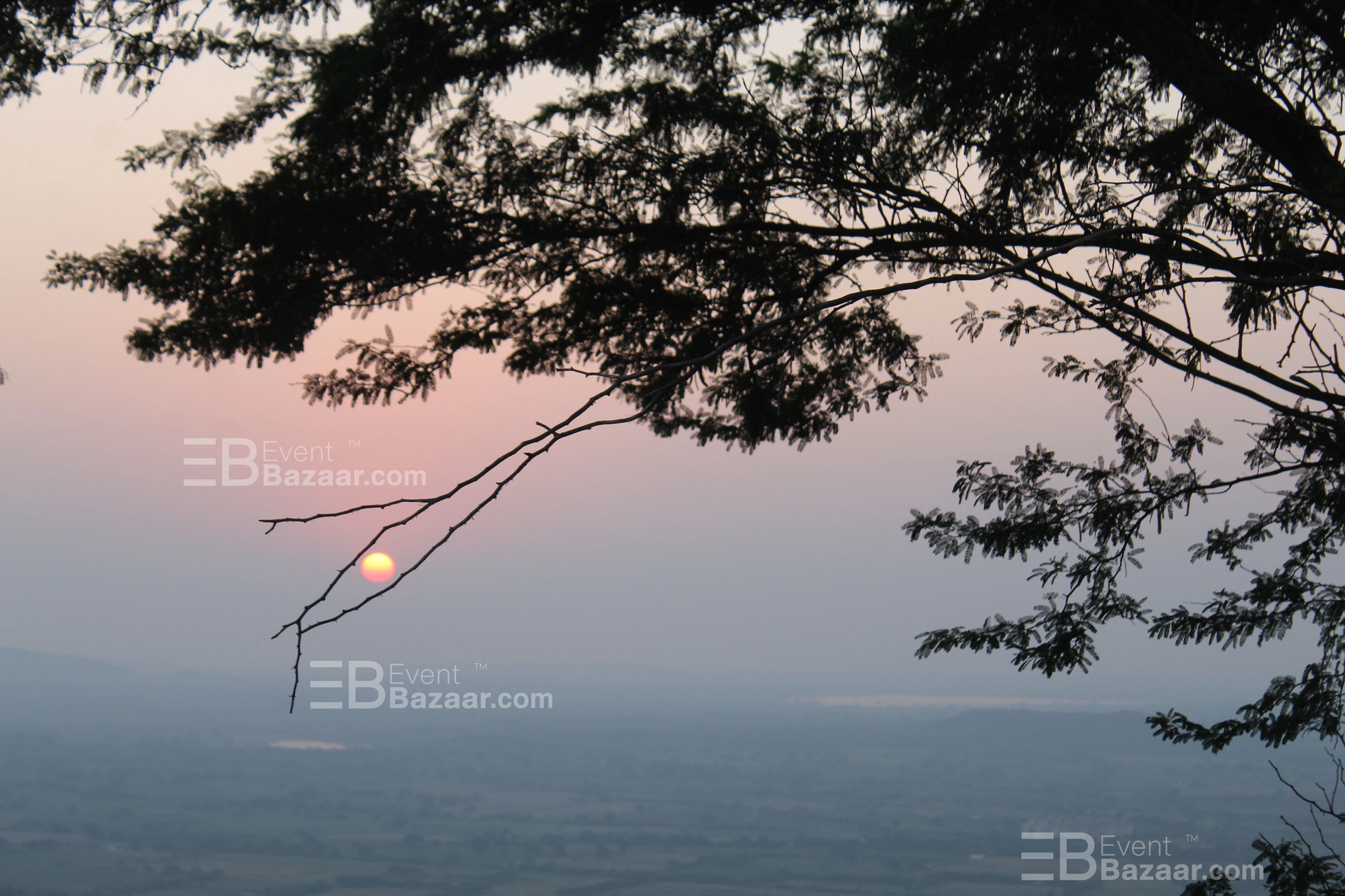 Our Portfolio photo 7