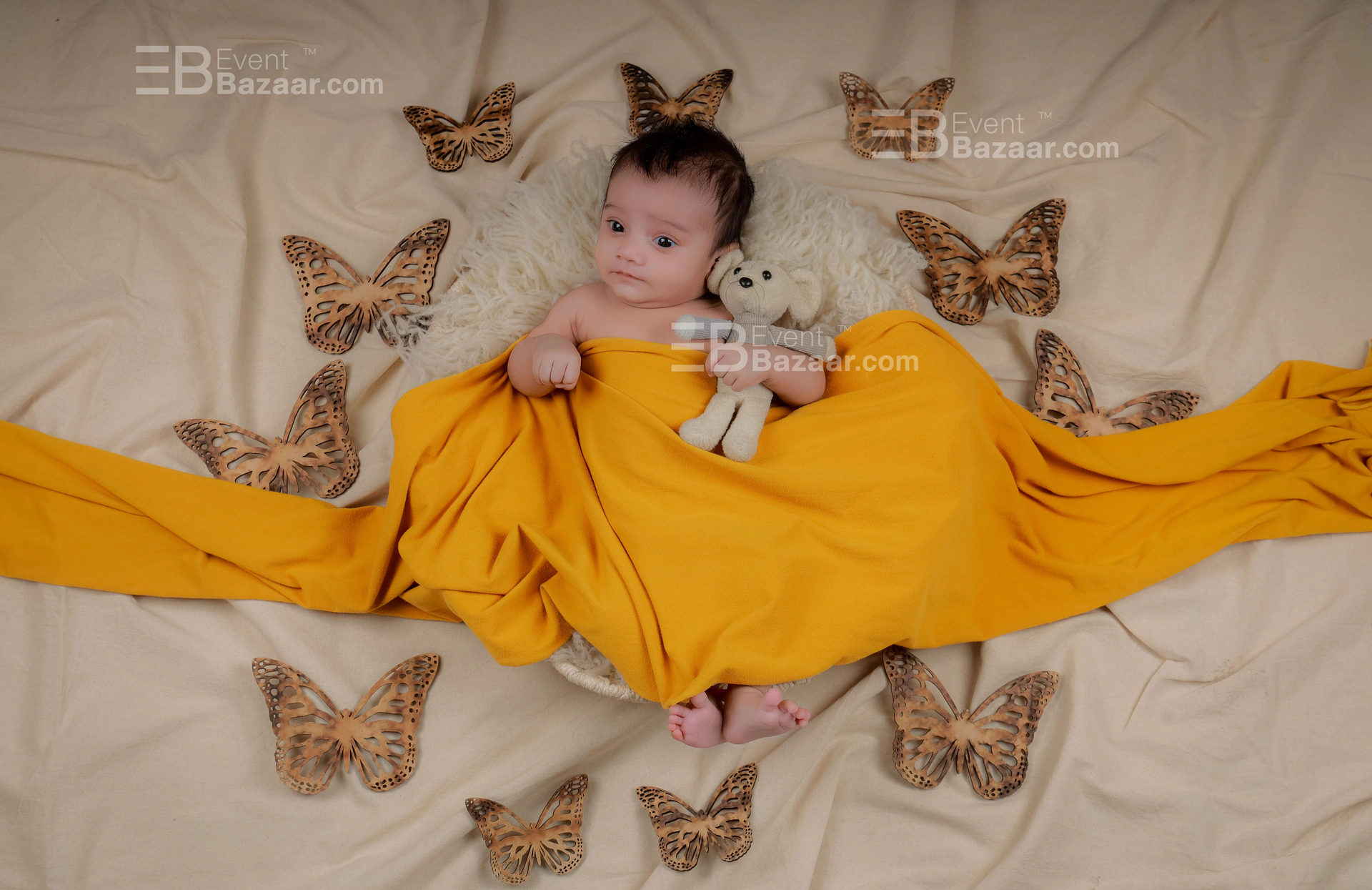 Photo Gallery photo 4