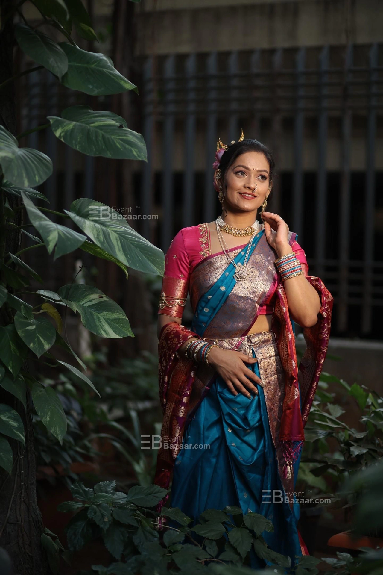 The Album photo 1