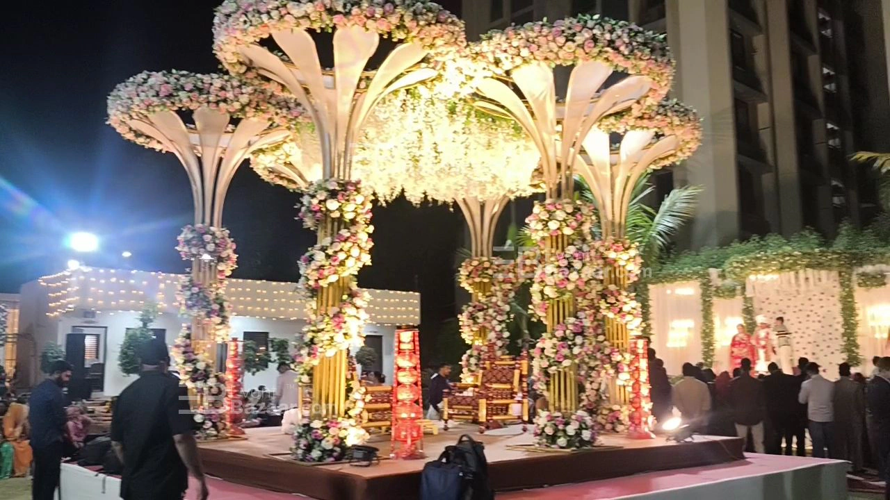 Captured Moments photo 3