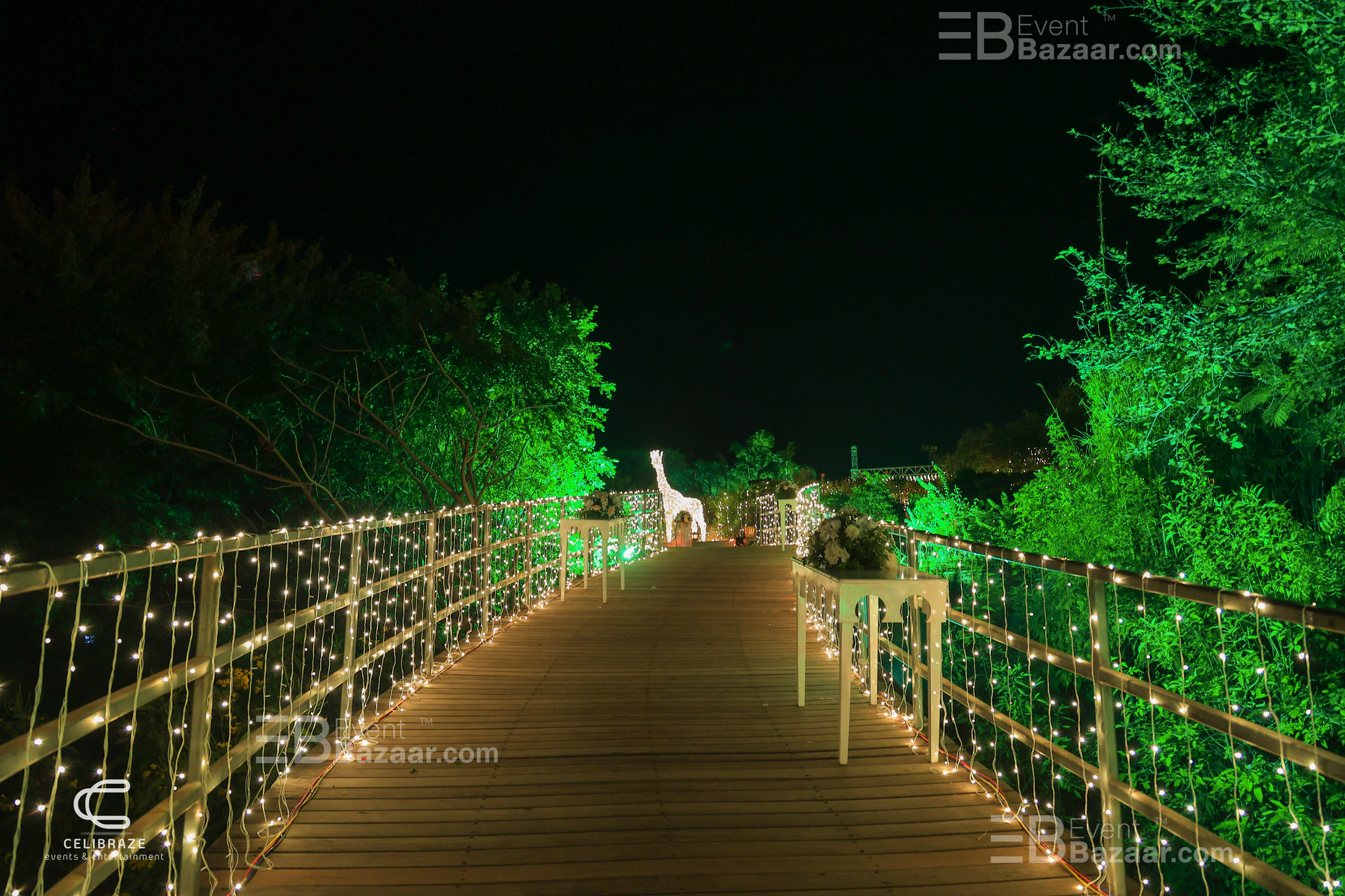Best Shots photo 3
