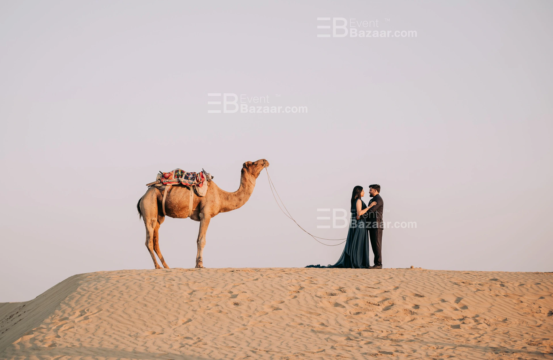 Work Gallery photo 3