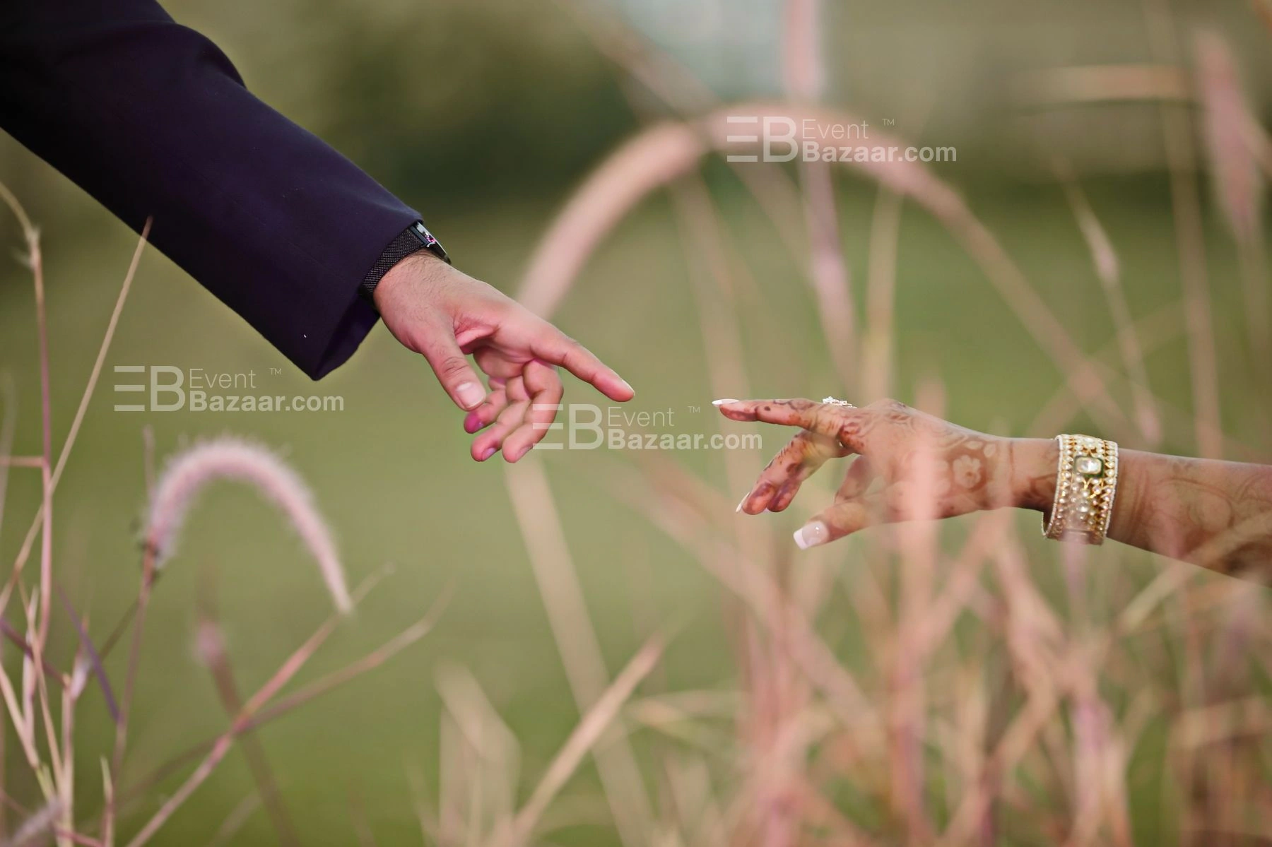 Our Portfolio photo 6