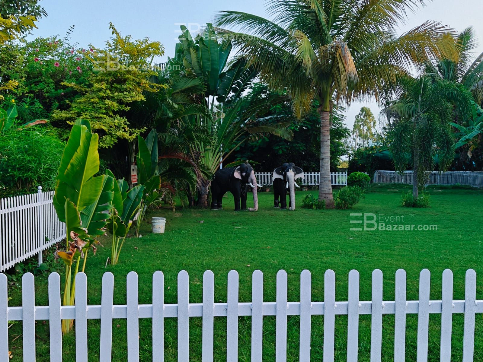 Wedding photo 9
