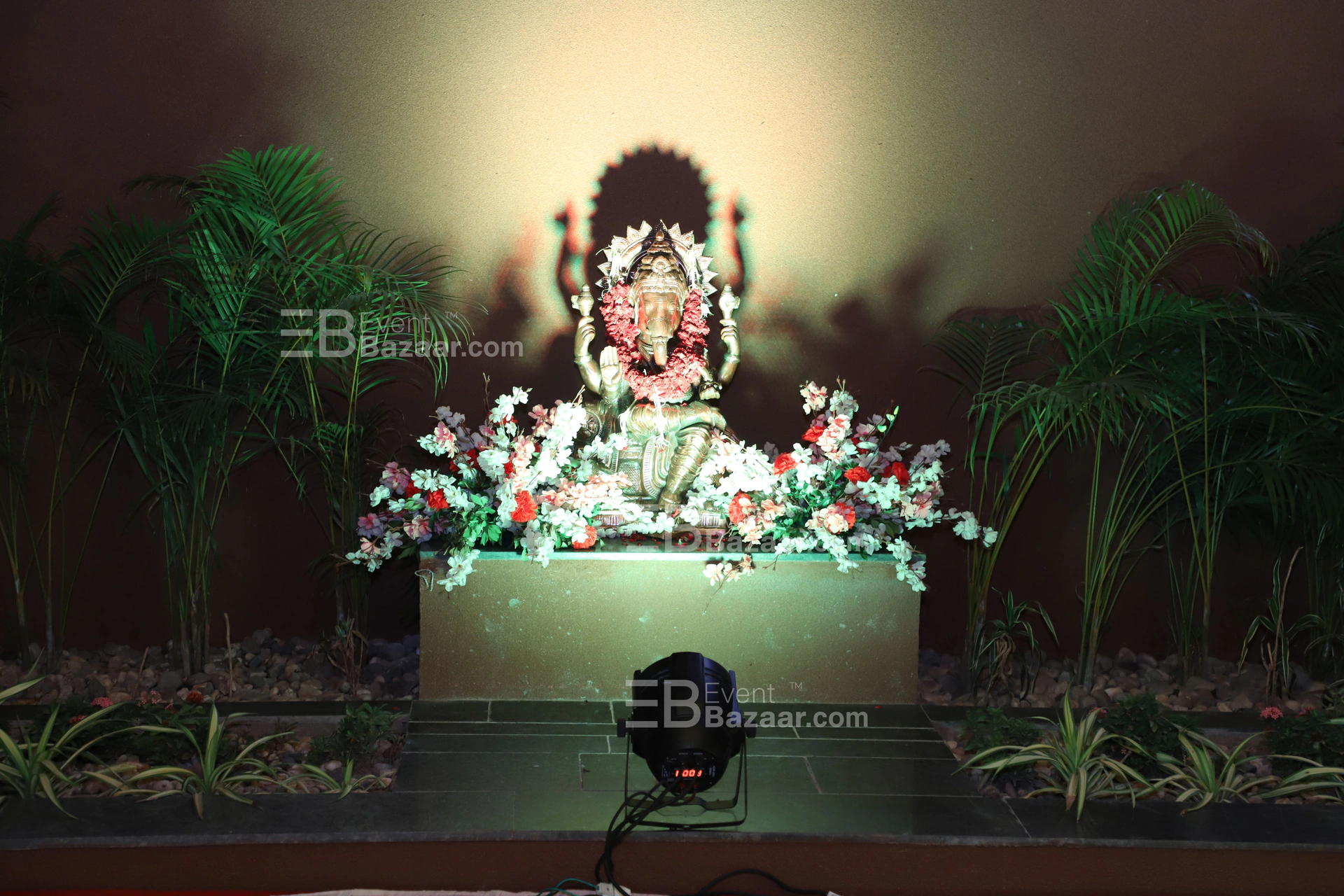 Photo Gallery photo 5
