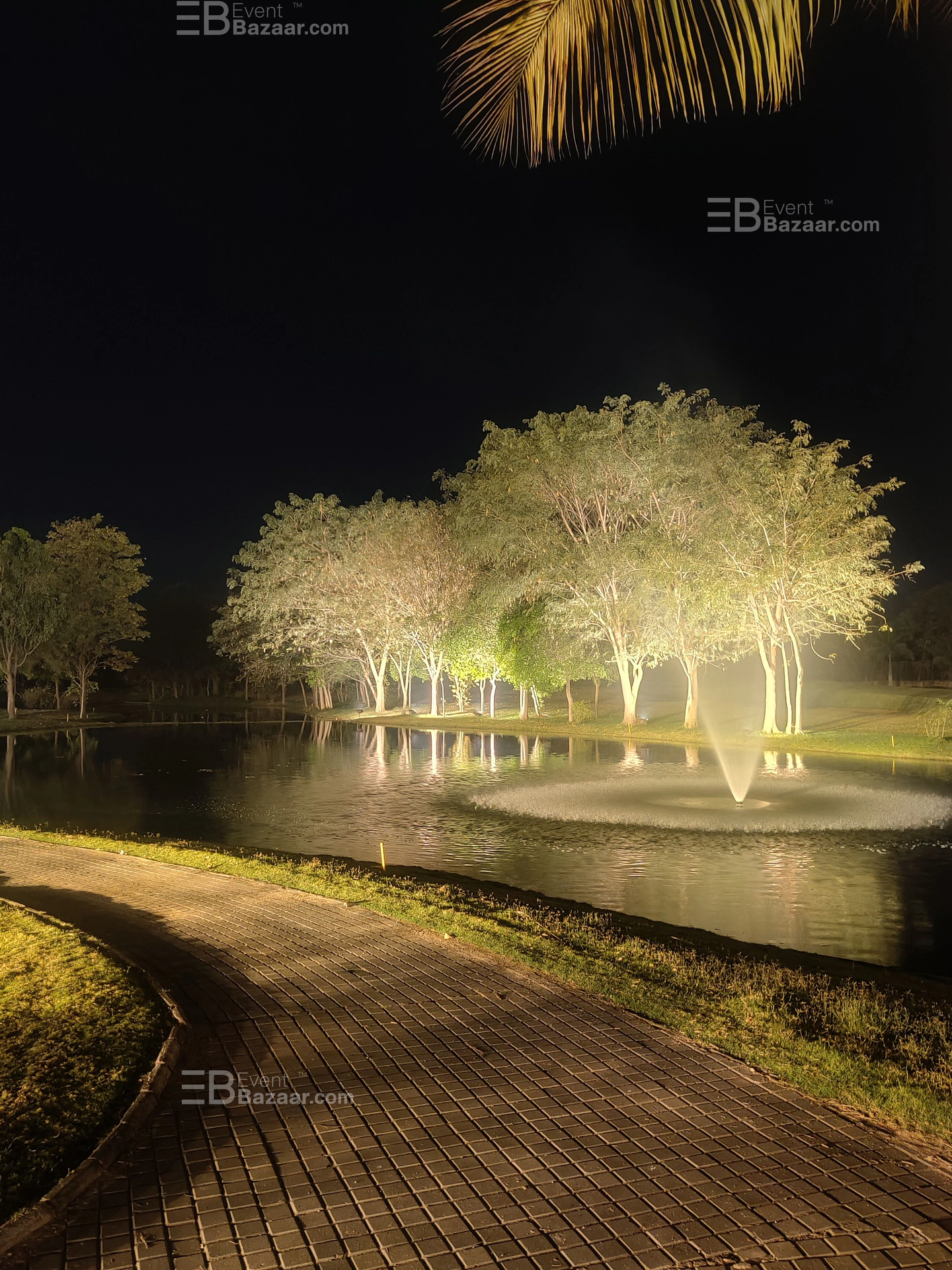 Visual Stories photo 6