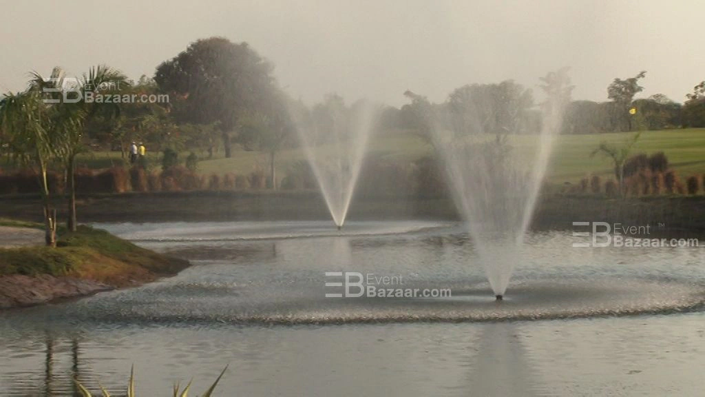 Visual Stories photo 3