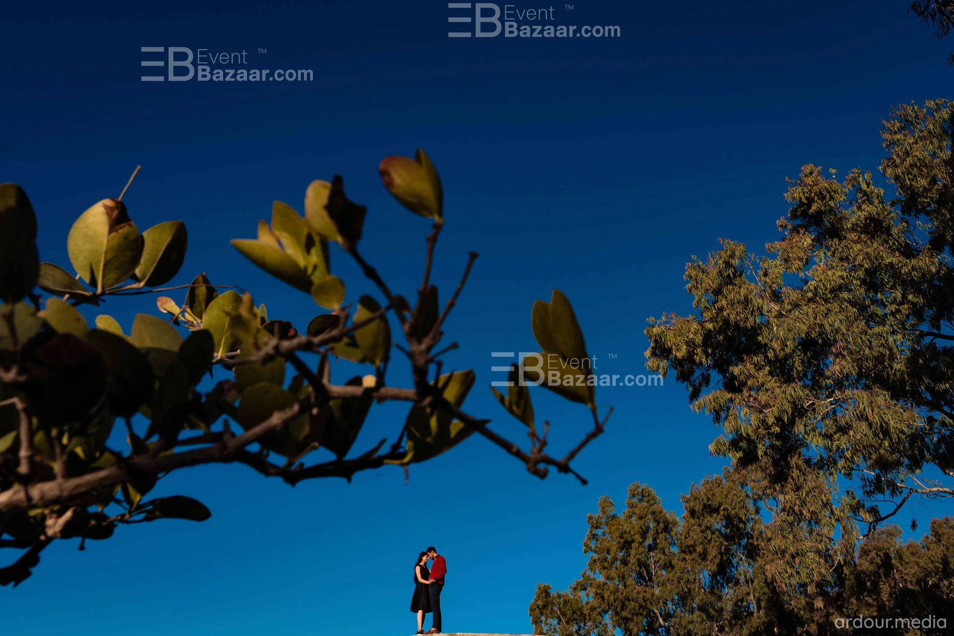 Portfolio photo 5