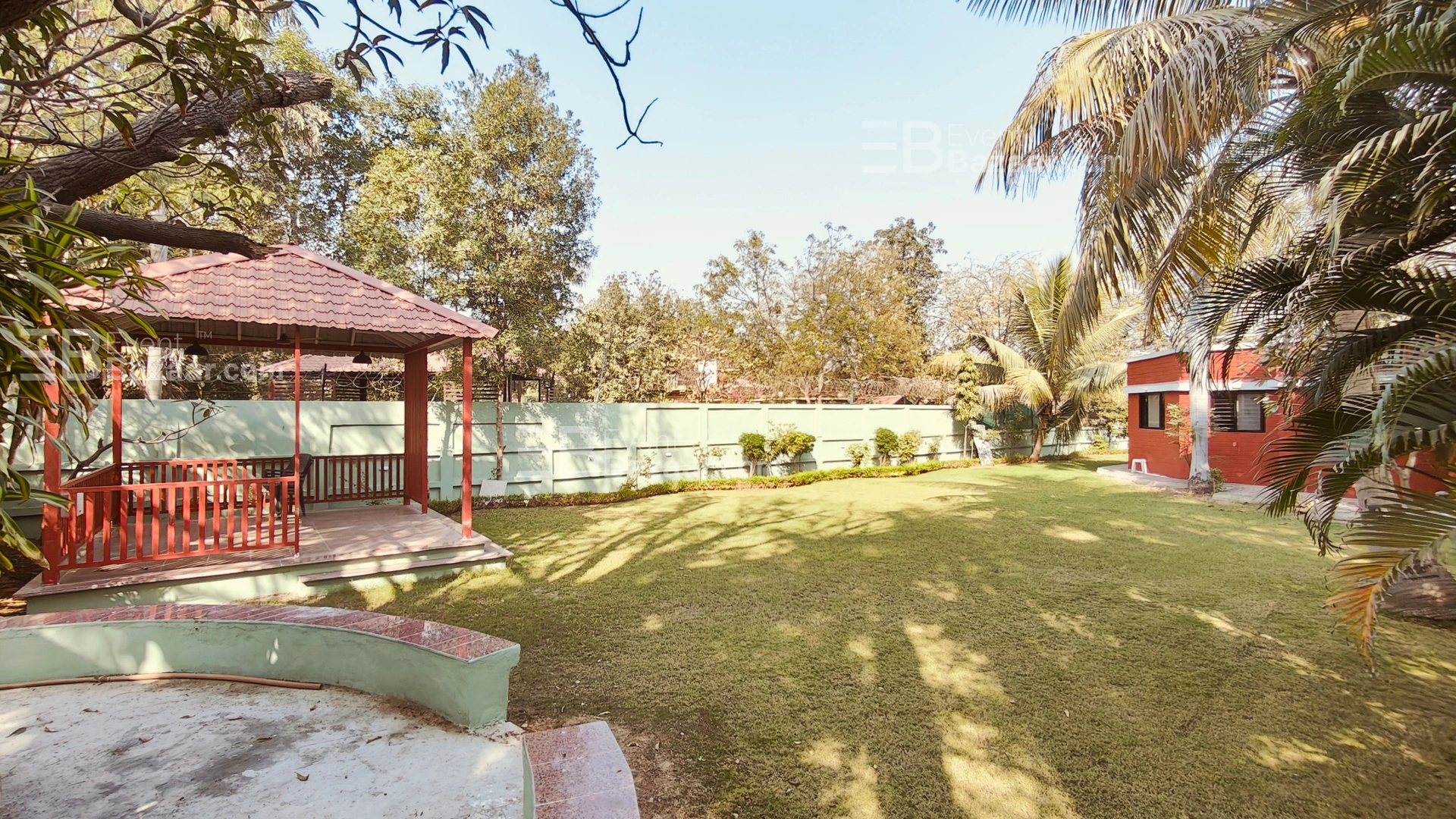 The Album photo 3