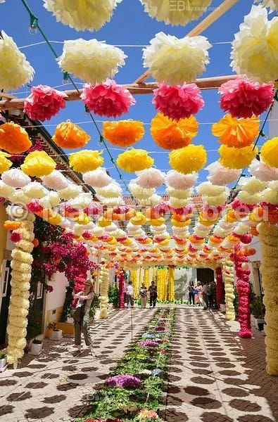 Decor photo 11
