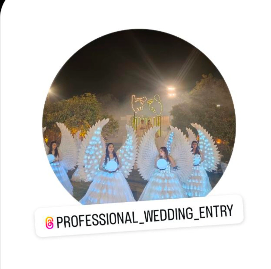 Professional wedding entry 